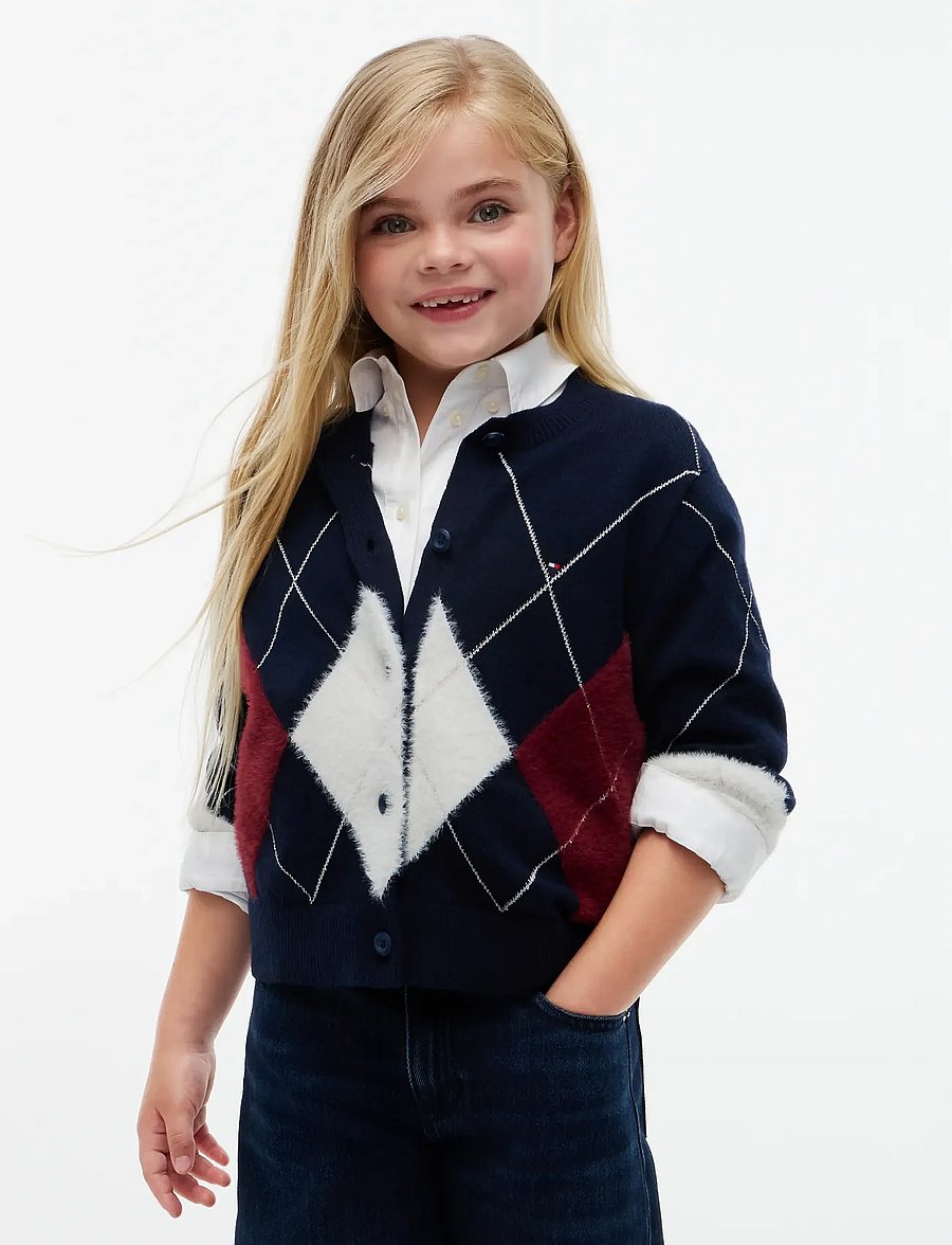 Tommy Hilfiger - ARGYLE CARDIGAN - cardigans - dark blue - 0
