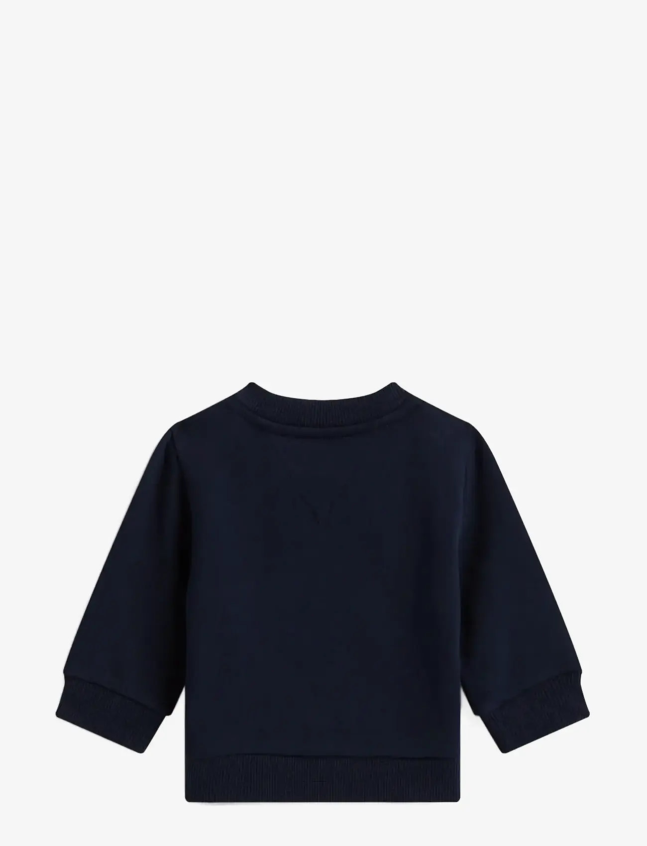 Tommy Hilfiger - ESSENTIAL SWEATSHIRT - sweatshirts - dark night navy - 1
