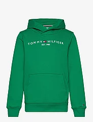 Tommy Hilfiger - ESSENTIAL HOODIE - kapuutsiga dressipluusid - olympic green - 0