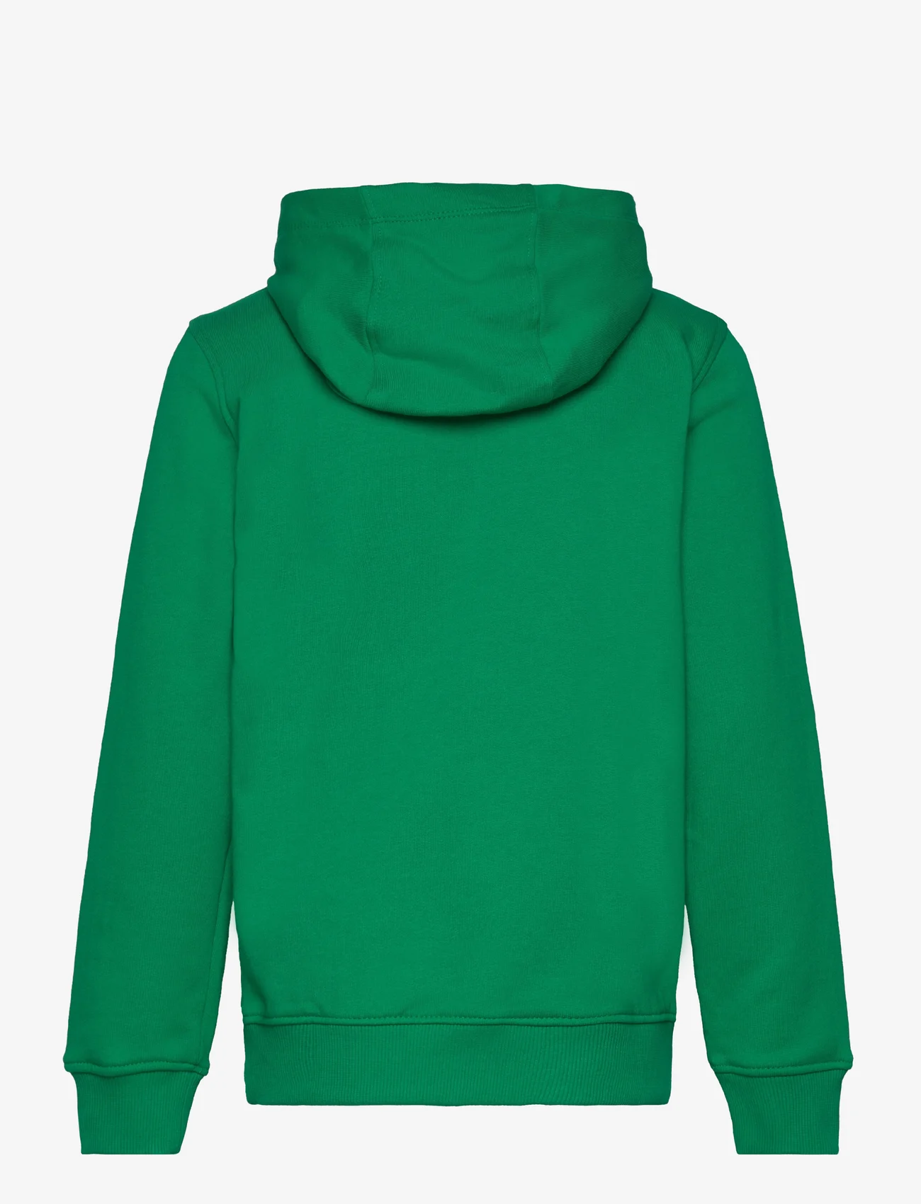 Tommy Hilfiger - ESSENTIAL HOODIE - hupparit - olympic green - 1