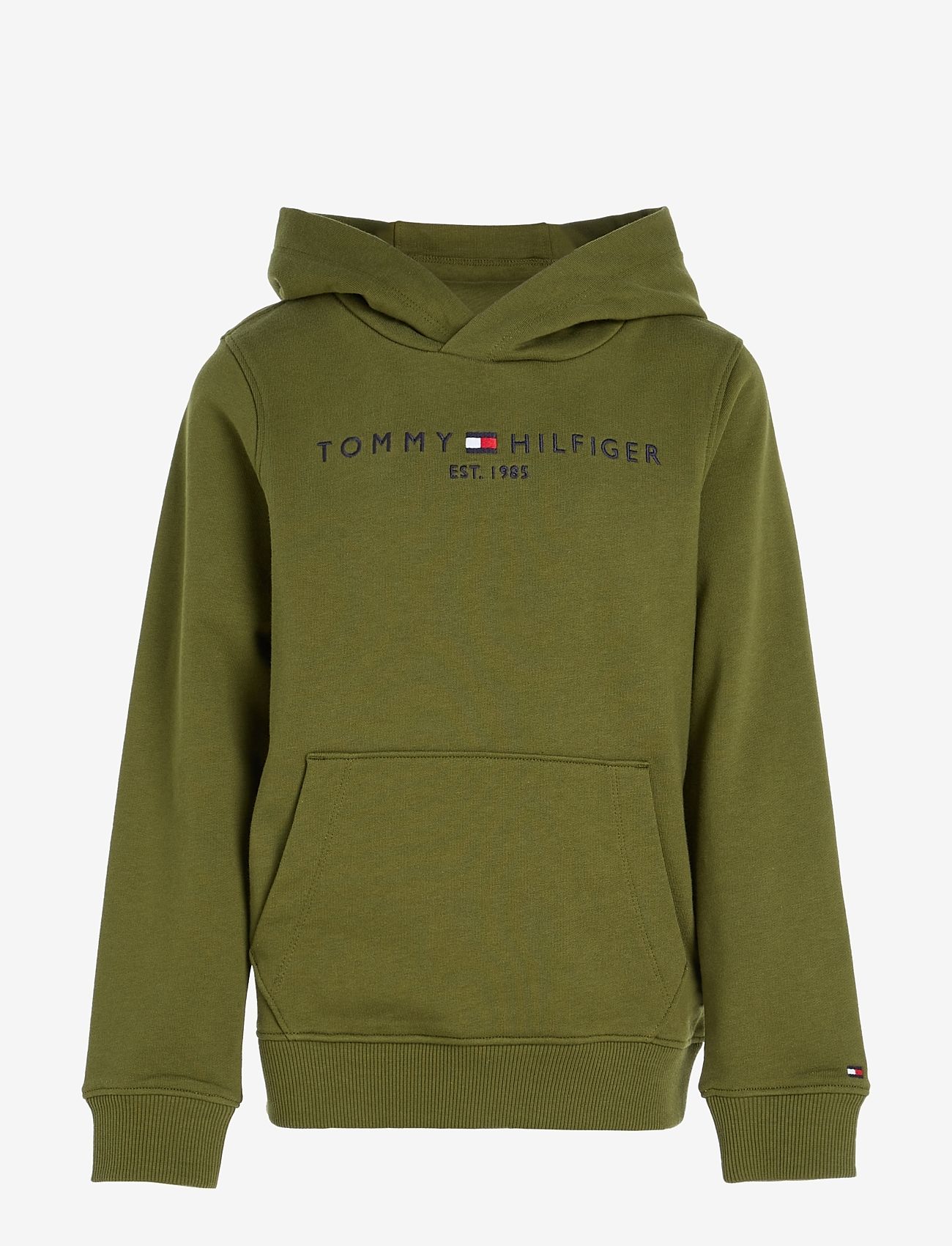 Tommy Hilfiger - ESSENTIAL HOODIE - hoodies - putting green - 0