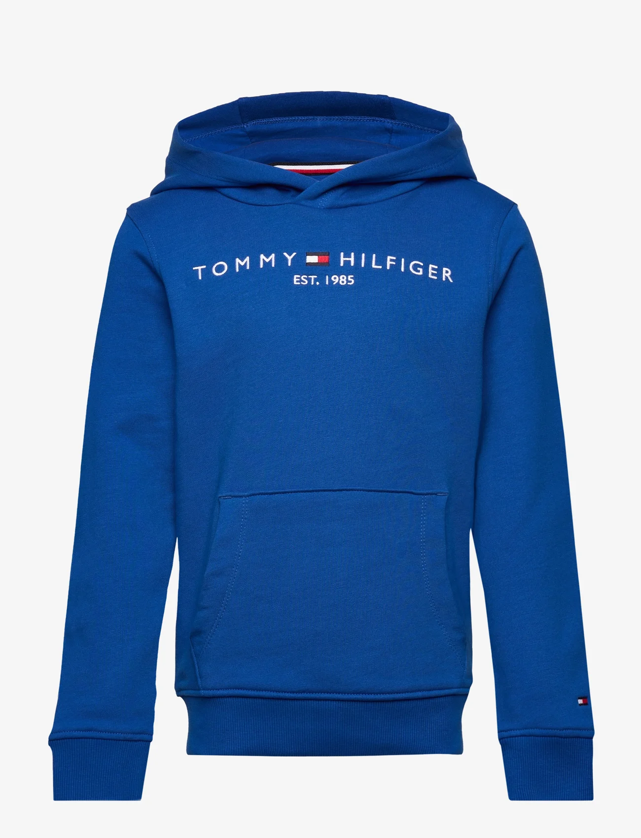 Tommy Hilfiger - ESSENTIAL HOODIE - hoodies - ultra blue - 0