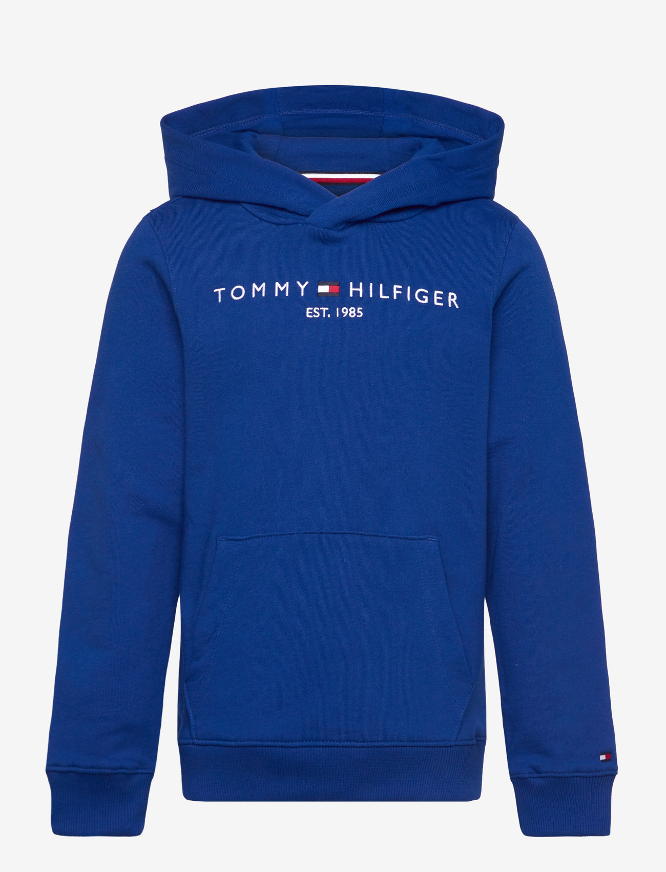 Tommy Hilfiger - U CORP LOGO ESS HOODIE - huvtröjor - wedge blue - 1
