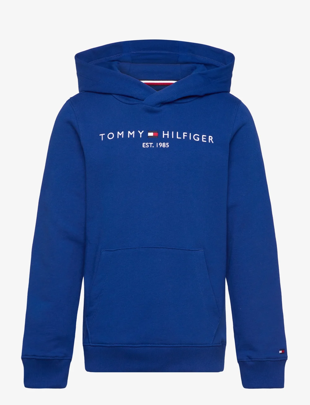 Tommy Hilfiger - U ESSENTIAL HOODIE - kapuzenpullover - wedge blue - 1