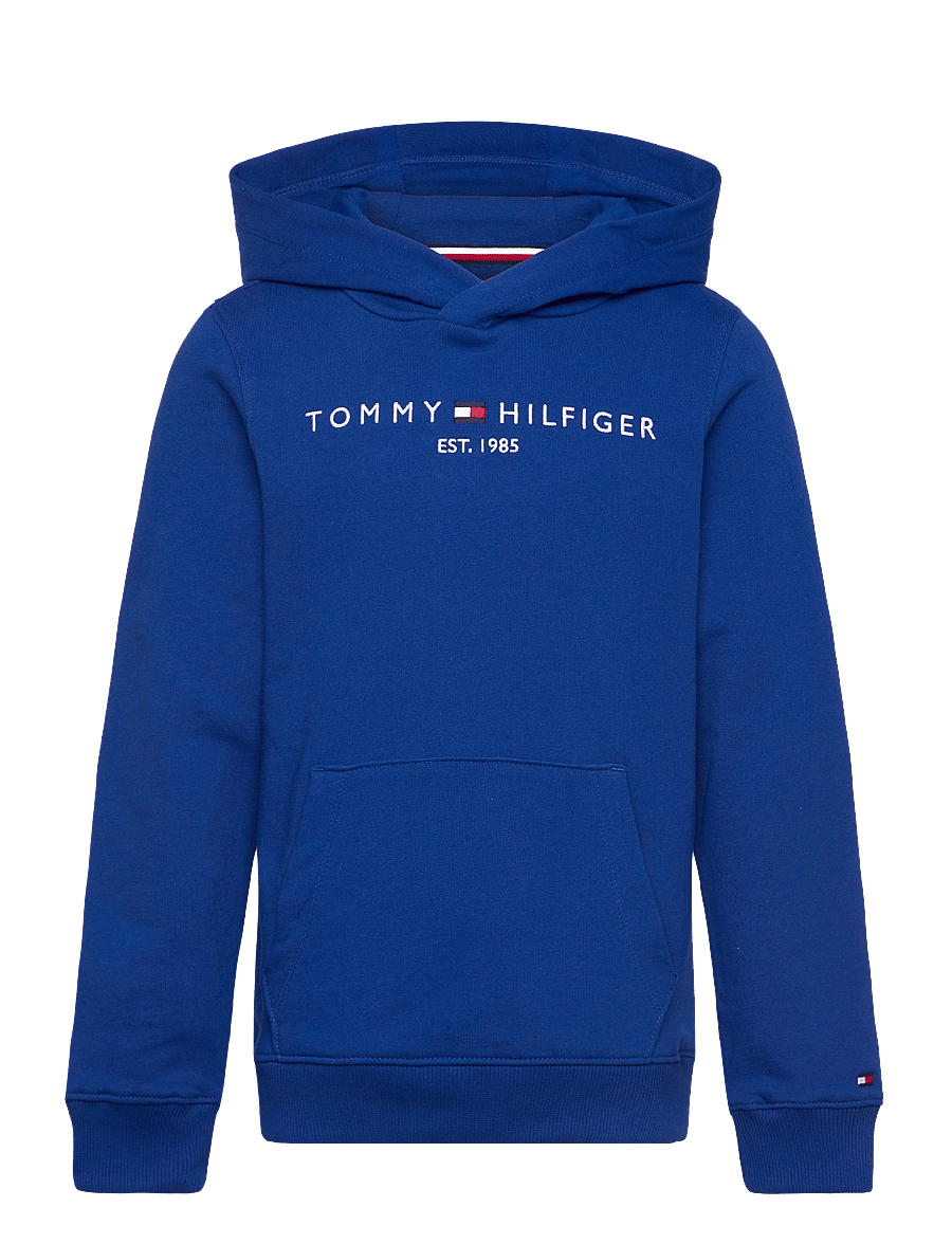 Tommy Hilfiger - U CORP LOGO ESS HOODIE - wedge blue - 1