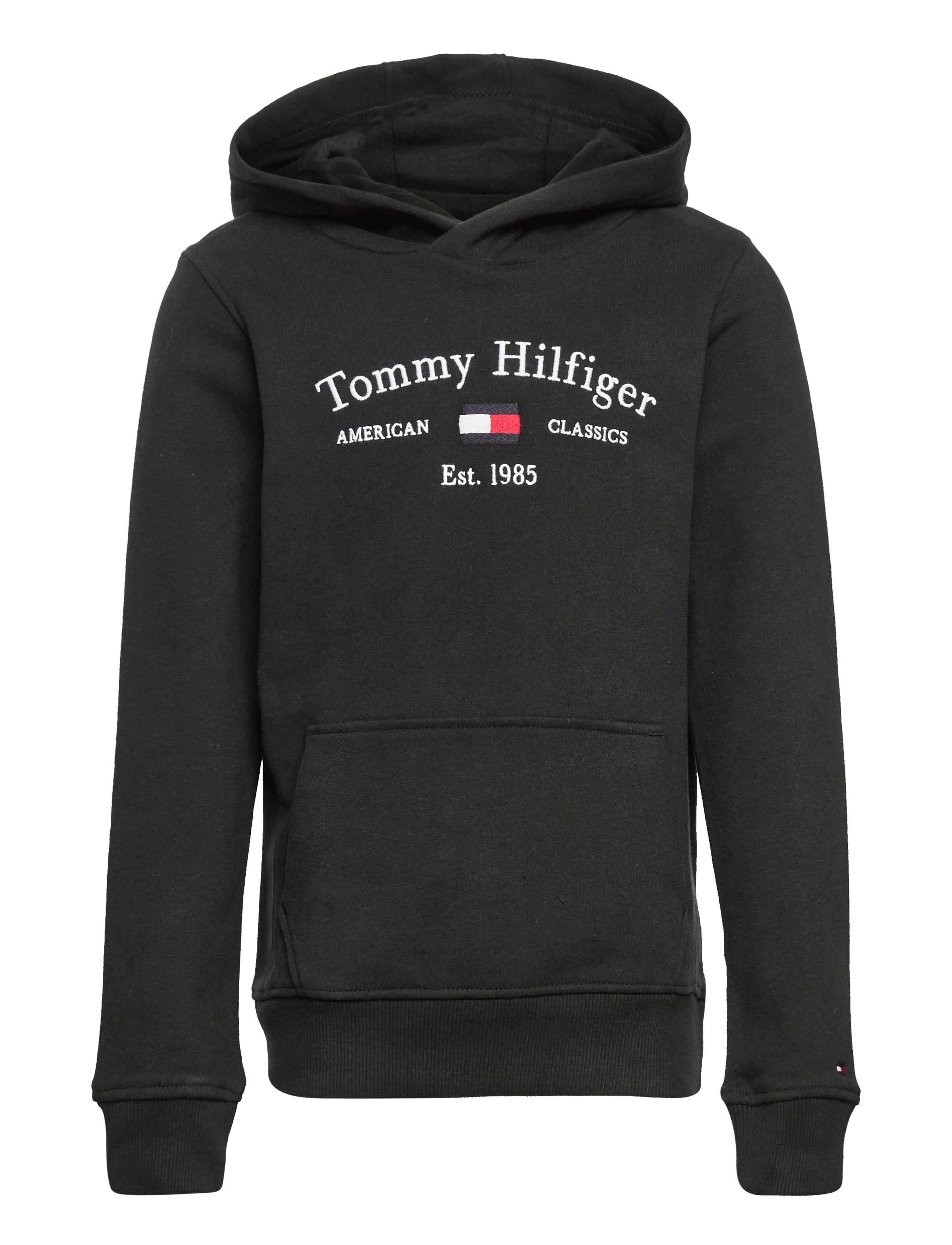 Tommy Hilfiger - TH ARTWORK HOODIE - black - 0
