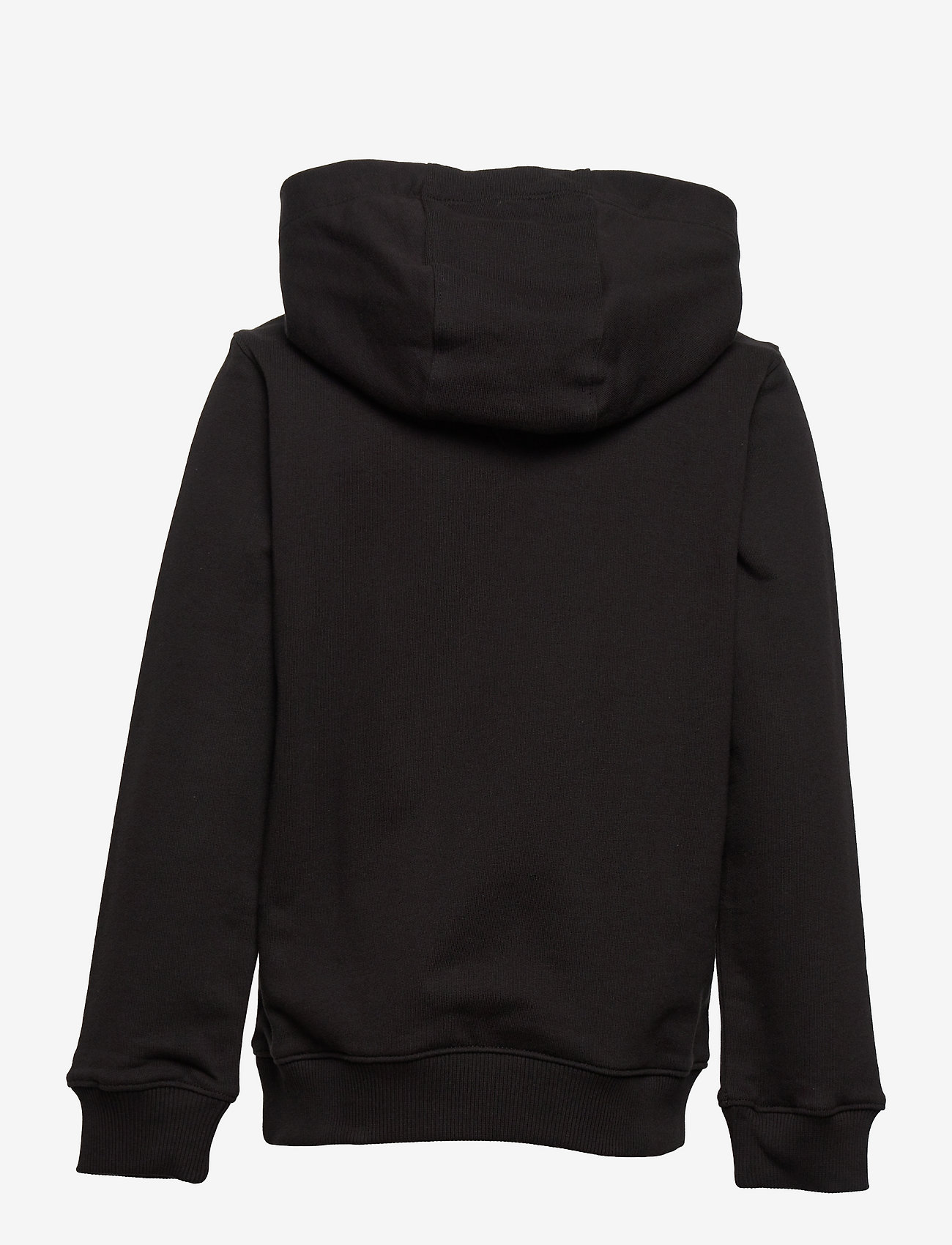 Tommy Hilfiger - ESSENTIAL HOODIE - huvtröjor - black - 2