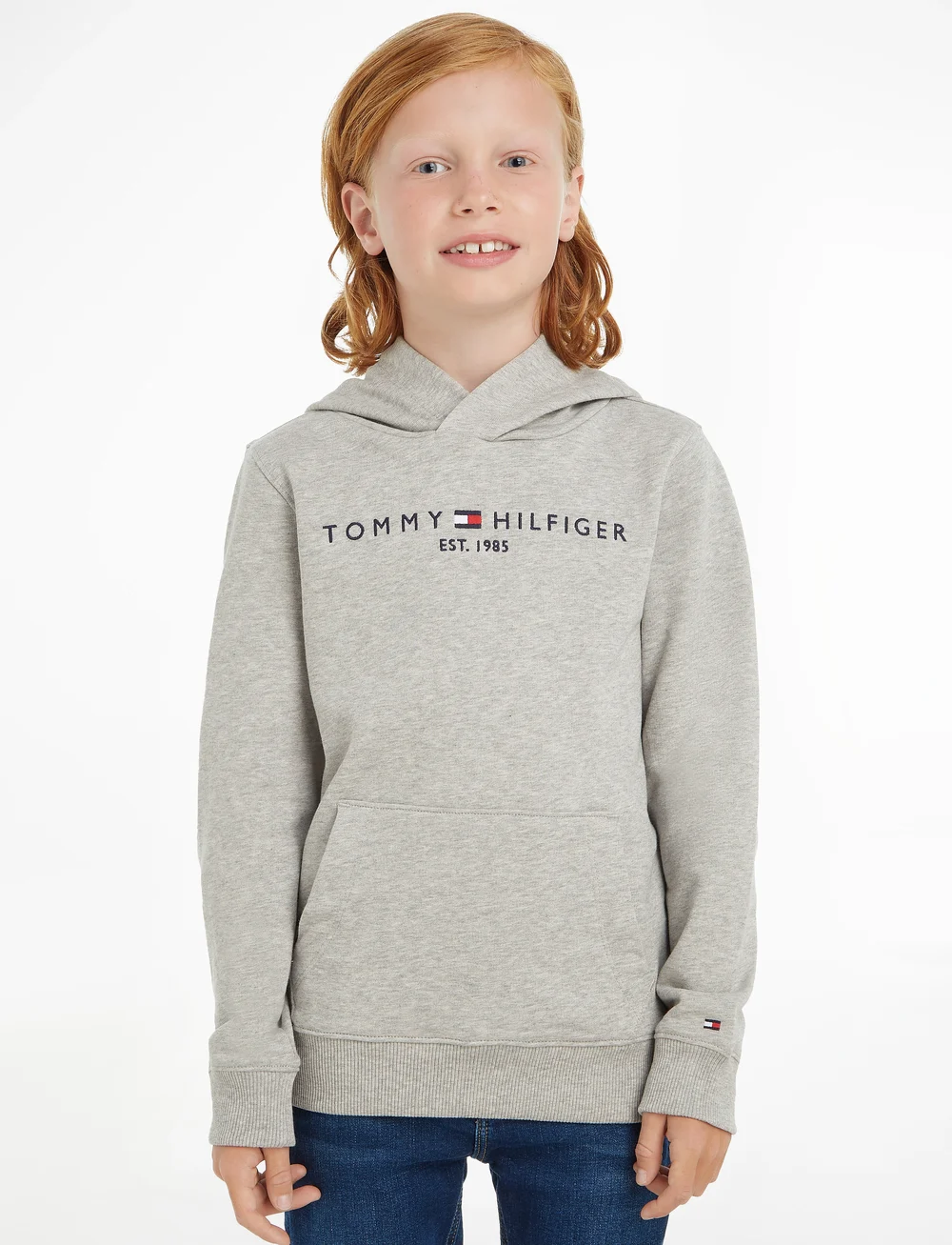 Grey on sale tommy hoodie