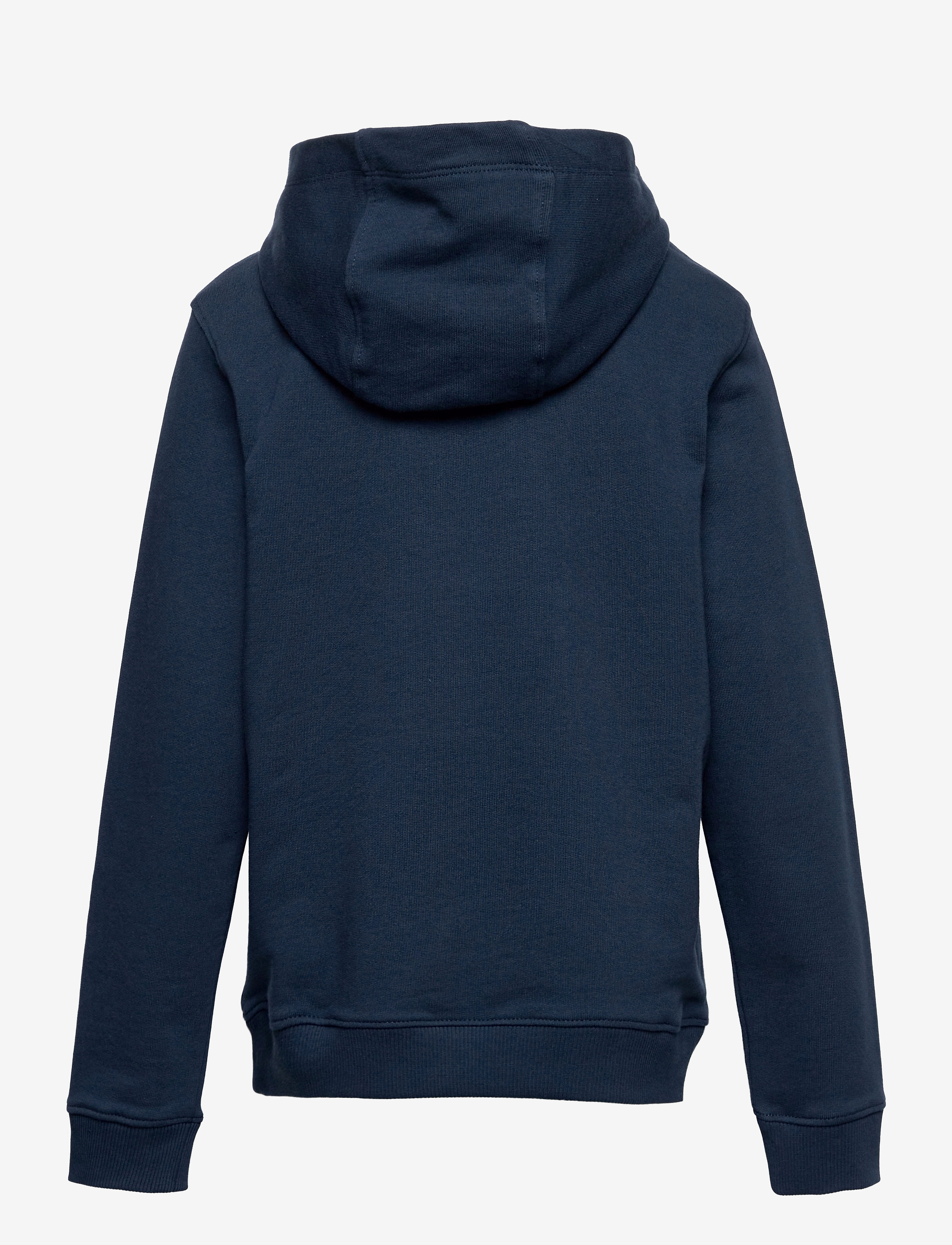 Tommy Hilfiger - ESSENTIAL HOODIE - kapuutsiga dressipluusid - twilight navy - 2