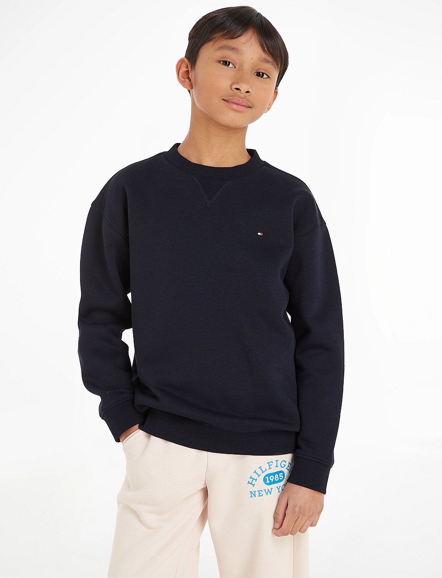 Tommy Hilfiger - U TIMELESS FLEECE SWEATSHIRT - sweatshirts - desert sky - 0