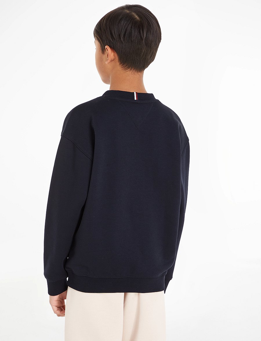 Tommy Hilfiger - U TIMELESS FLEECE SWEATSHIRT - sweatshirts - desert sky - 2