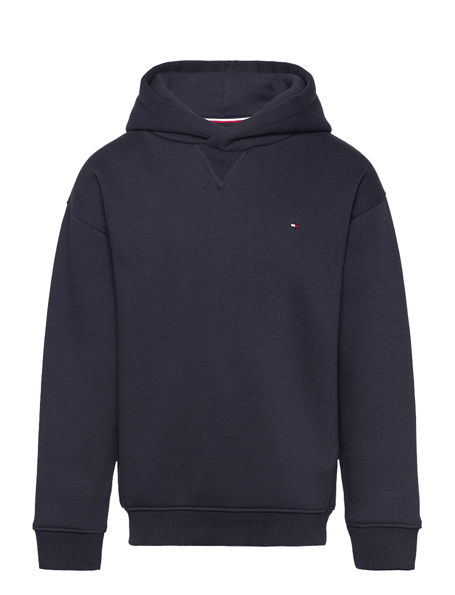 Tommy Hilfiger - U TIMELESS FLEECE HOODIE - hoodies - desert sky - 0