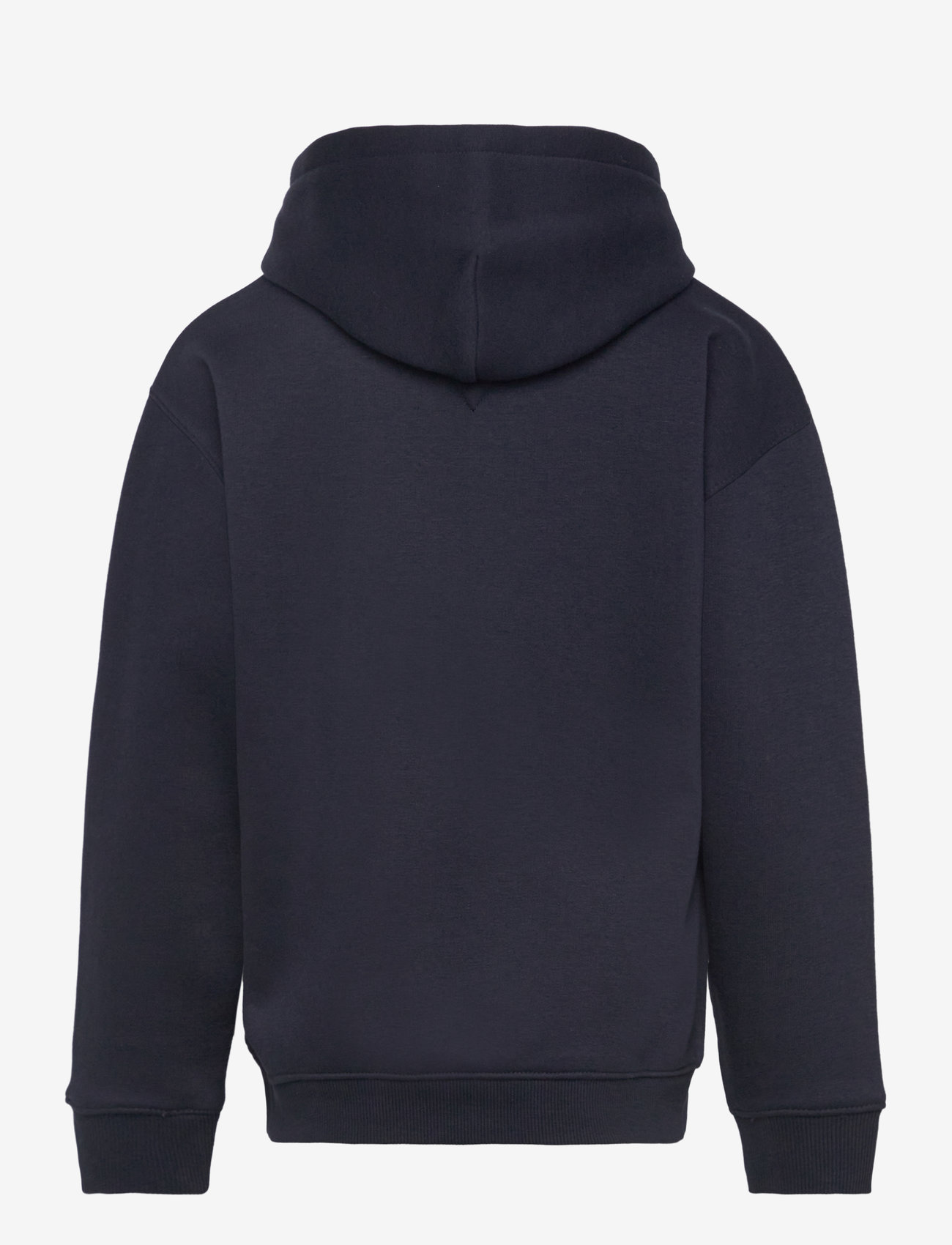 Tommy Hilfiger - U TIMELESS FLEECE HOODIE - hættetrøjer - desert sky - 1