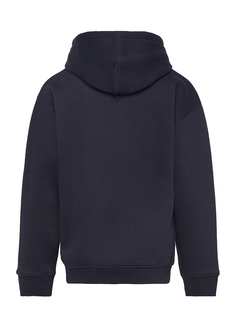 Tommy Hilfiger - U TIMELESS FLEECE HOODIE - hættetrøjer - desert sky - 1