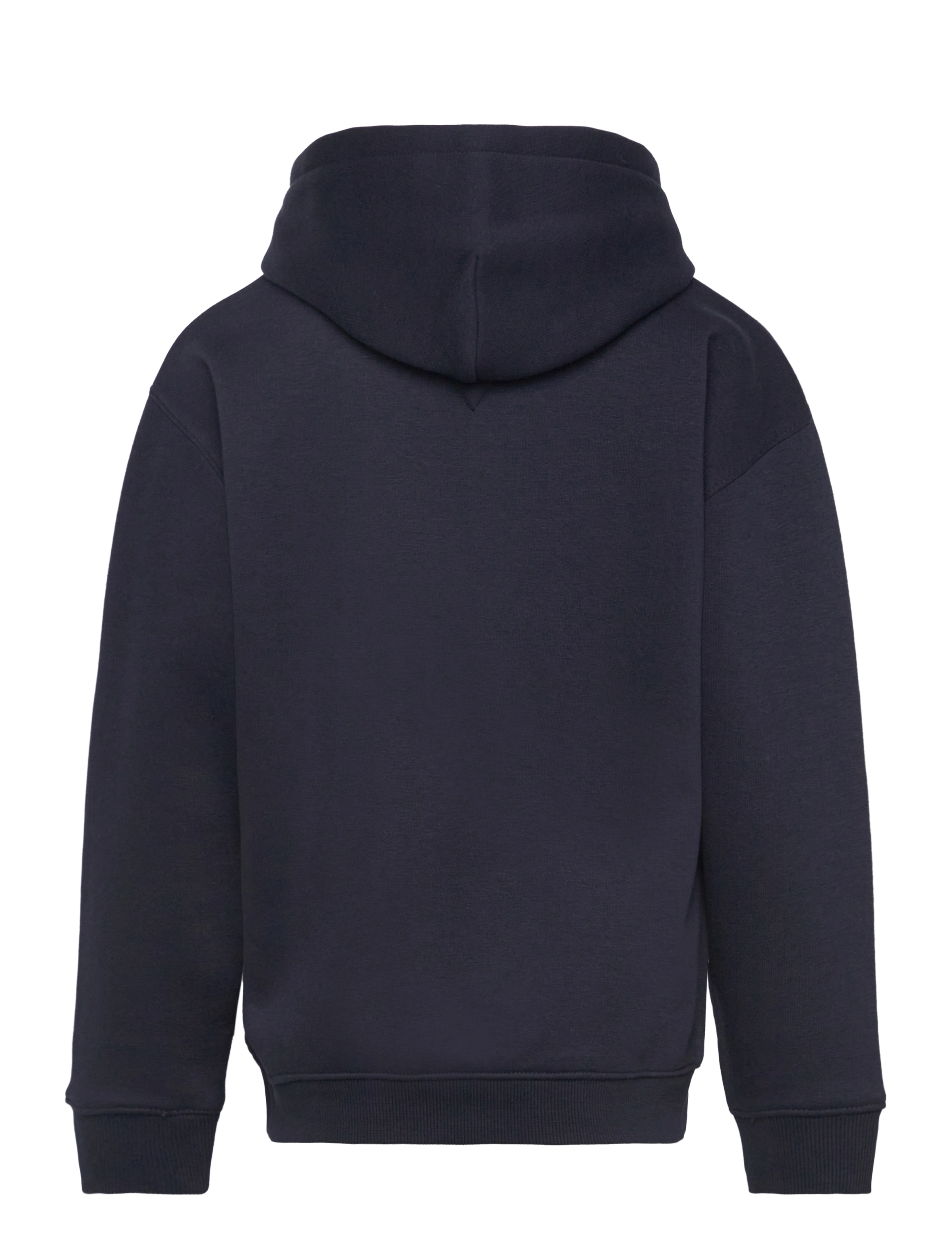 Tommy Hilfiger - U TIMELESS FLEECE HOODIE - pulls à capuche - desert sky - 1