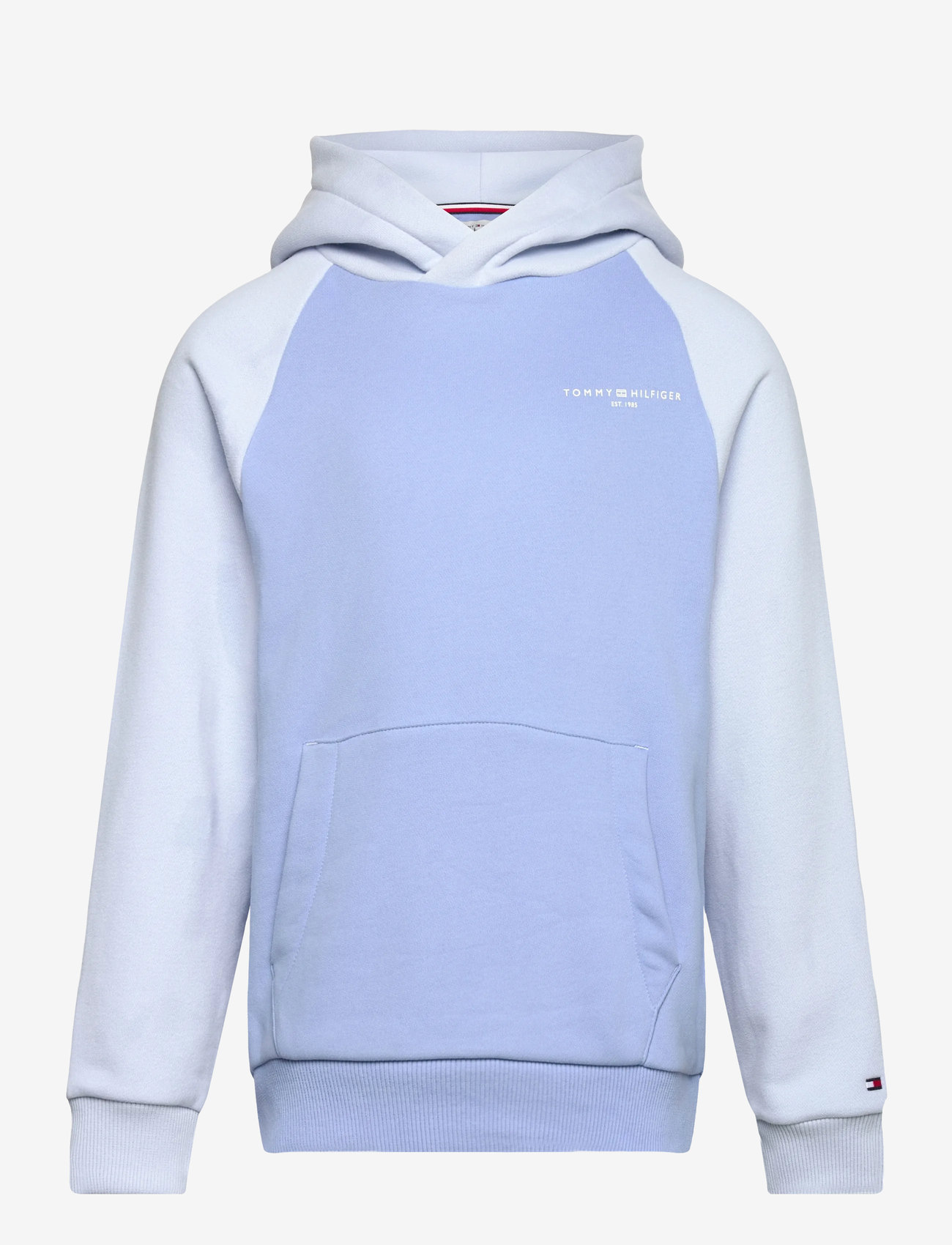 Tommy Hilfiger Mini Corp Logo Hoodie – hoodies – shop at Booztlet