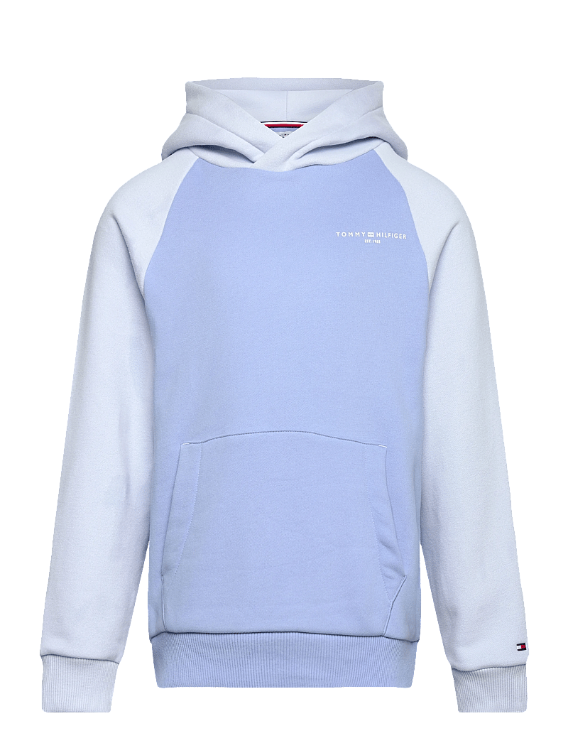 Tommy Hilfiger - MINI CORP LOGO HOODIE - hættetrøjer - cloudy blue colourblock - 1