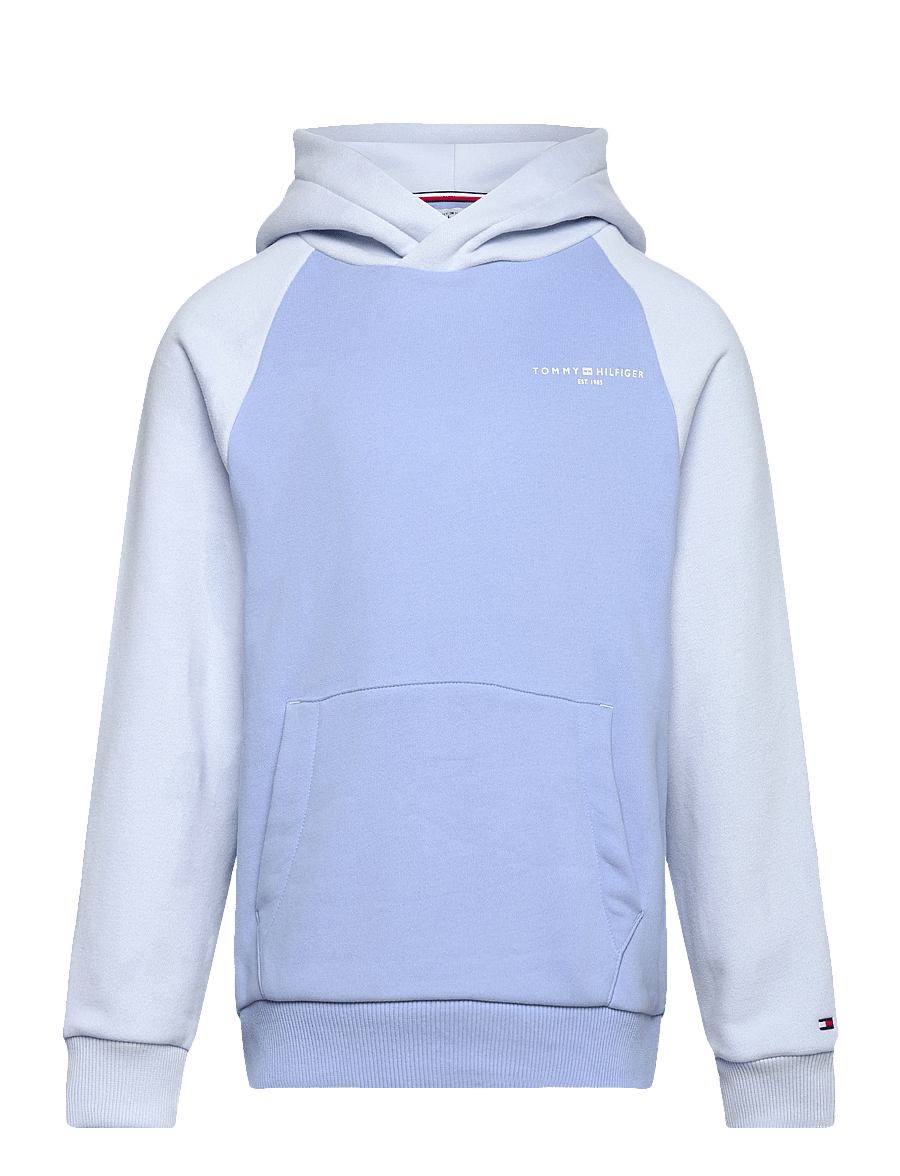 Tommy Hilfiger - MINI CORP LOGO HOODIE - kapuzenpullover - cloudy blue colourblock - 1
