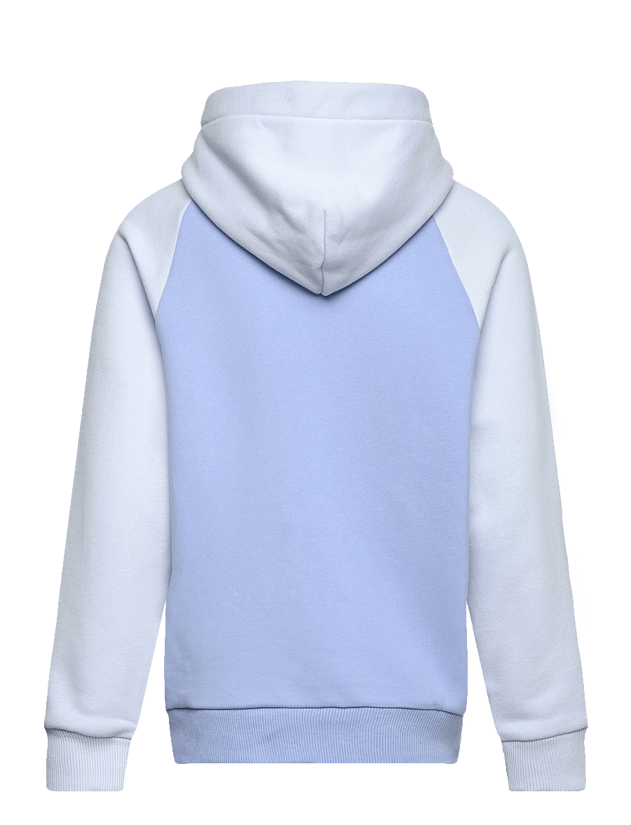 Tommy Hilfiger - MINI CORP LOGO HOODIE - kapuzenpullover - cloudy blue colourblock - 2