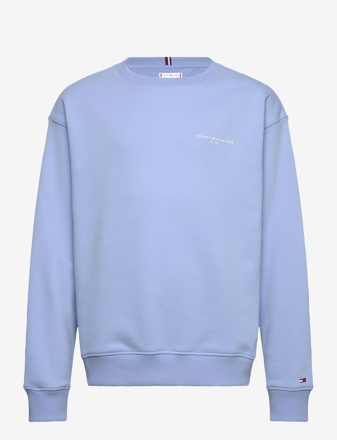 Tommy Hilfiger - MINI CORP C-NECK SWEATSHIRT - sweatshirts - cloudy blue - 0