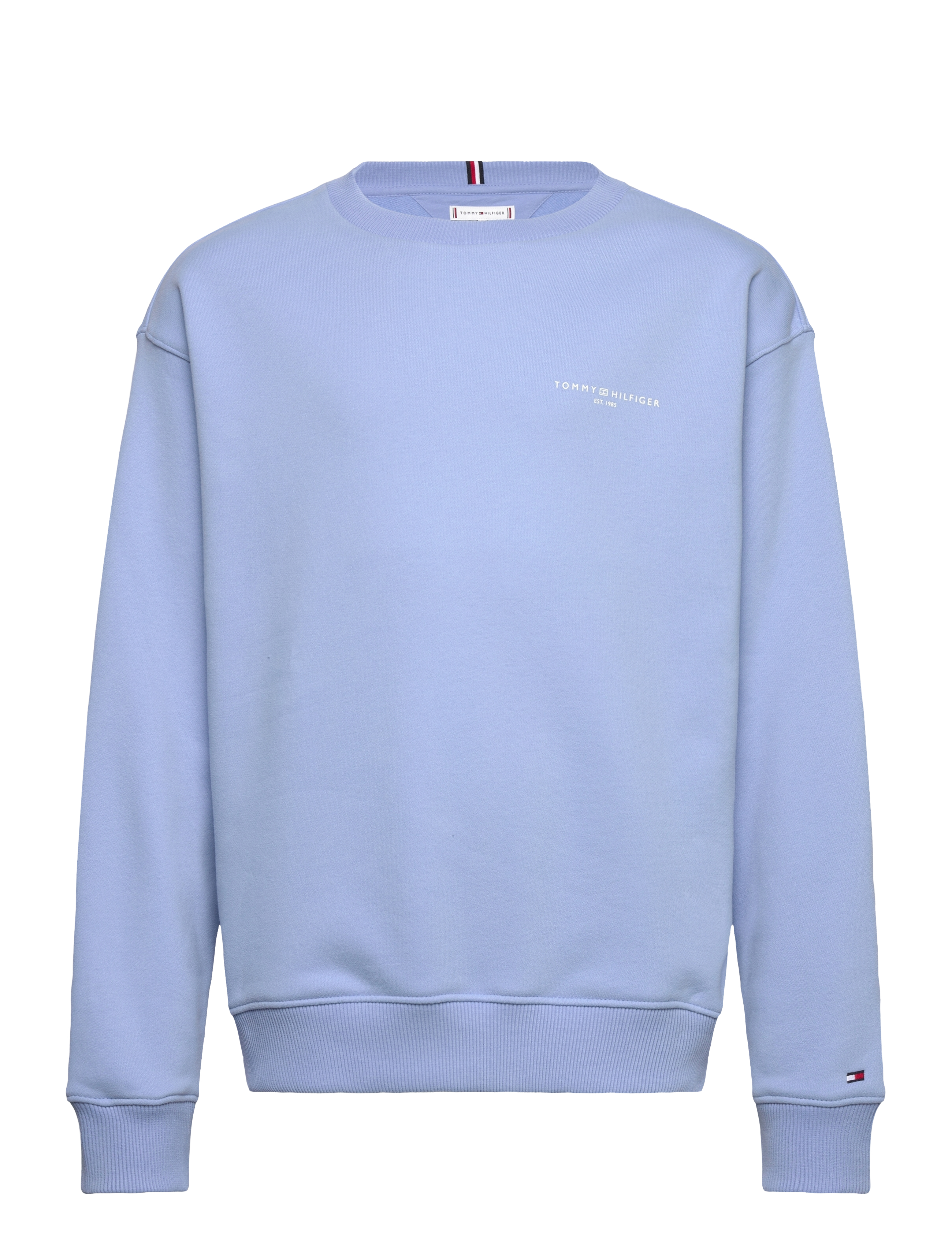 Tommy Hilfiger MINI CORP C-NECK SWEATSHIRT - Tøj - CLOUDY BLUE / white