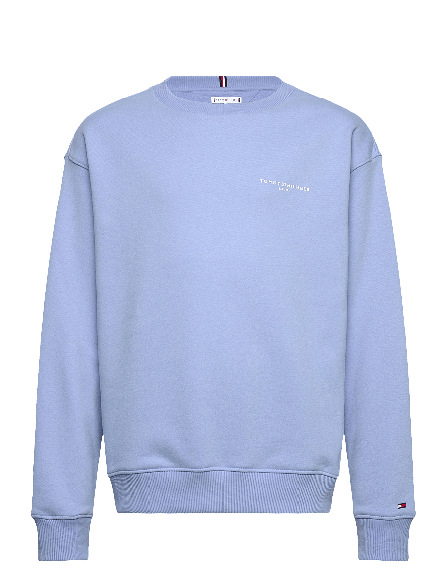 Tommy Hilfiger - MINI CORP C-NECK SWEATSHIRT - dressipluusid - cloudy blue - 0
