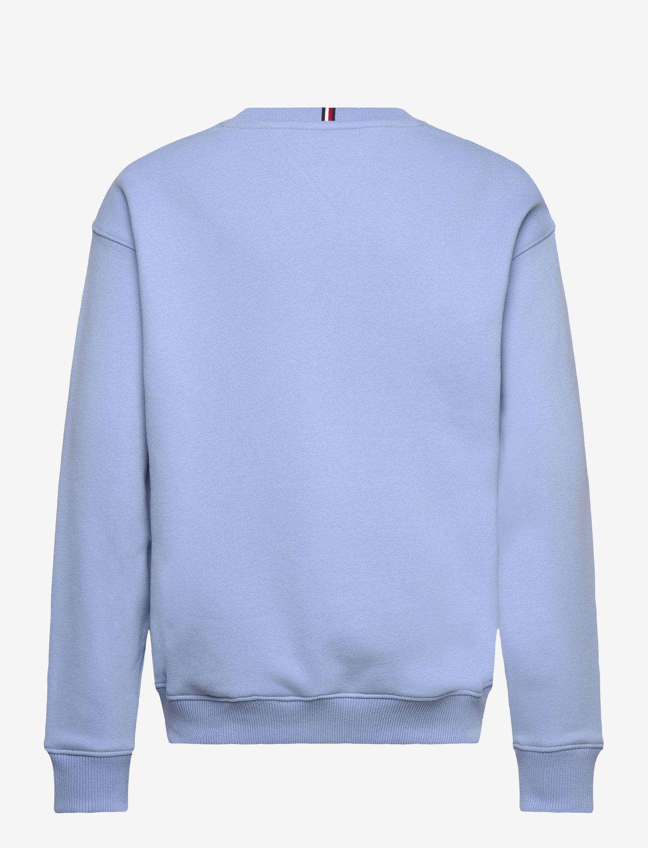 Tommy Hilfiger - MINI CORP C-NECK SWEATSHIRT - sweatshirts - cloudy blue - 1