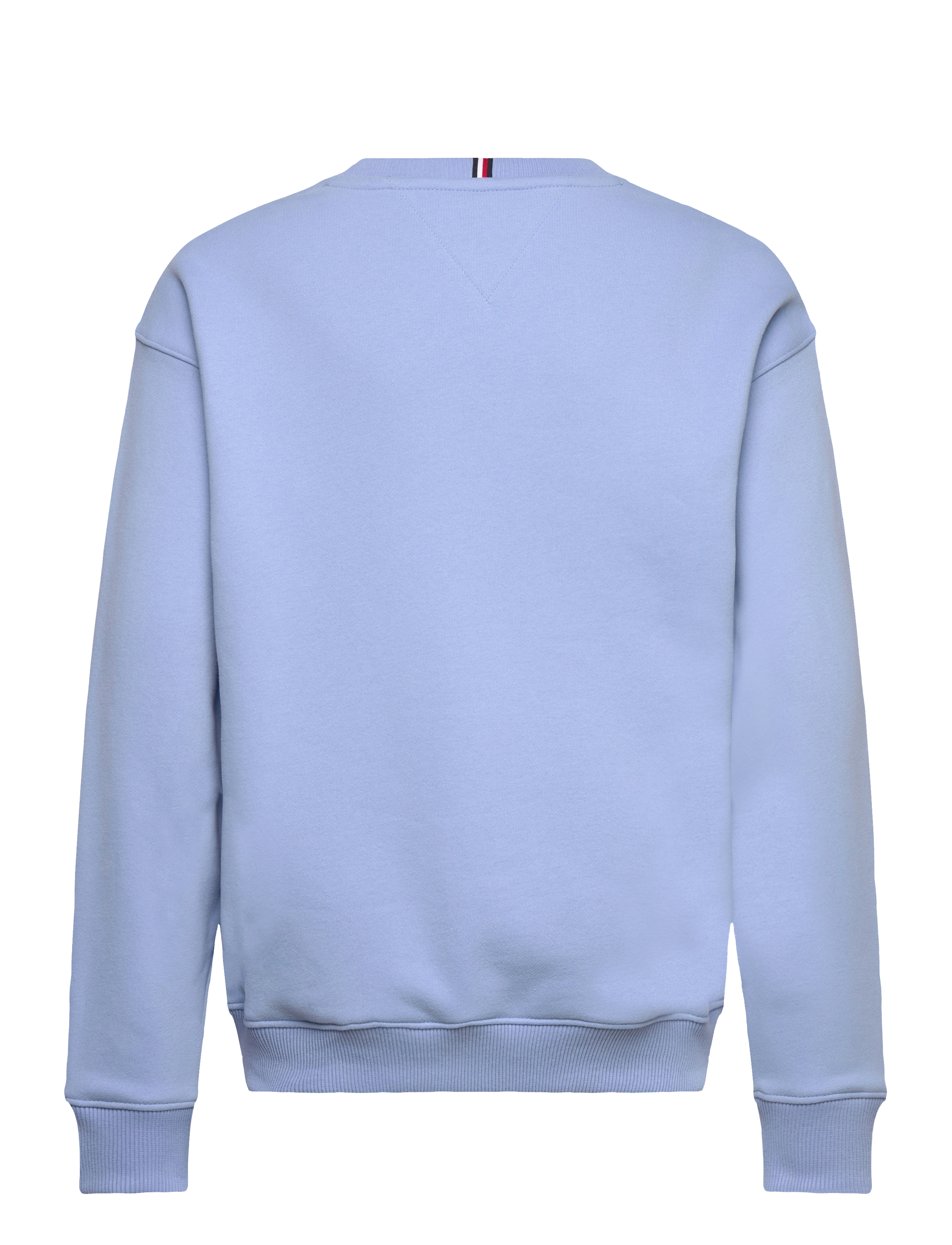 Tommy Hilfiger - MINI CORP C-NECK SWEATSHIRT - sweatshirts - cloudy blue - 1
