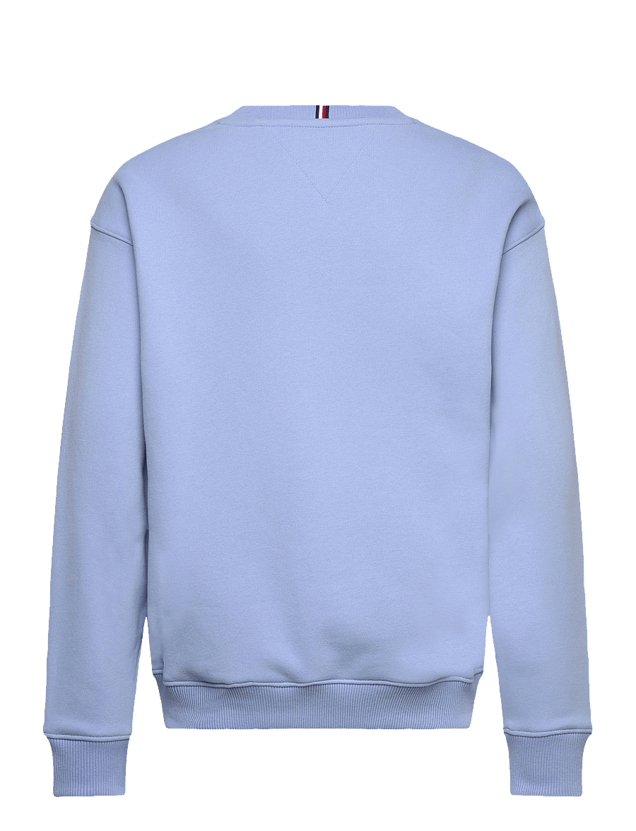 Tommy Hilfiger - MINI CORP C-NECK SWEATSHIRT - dressipluusid - cloudy blue - 1