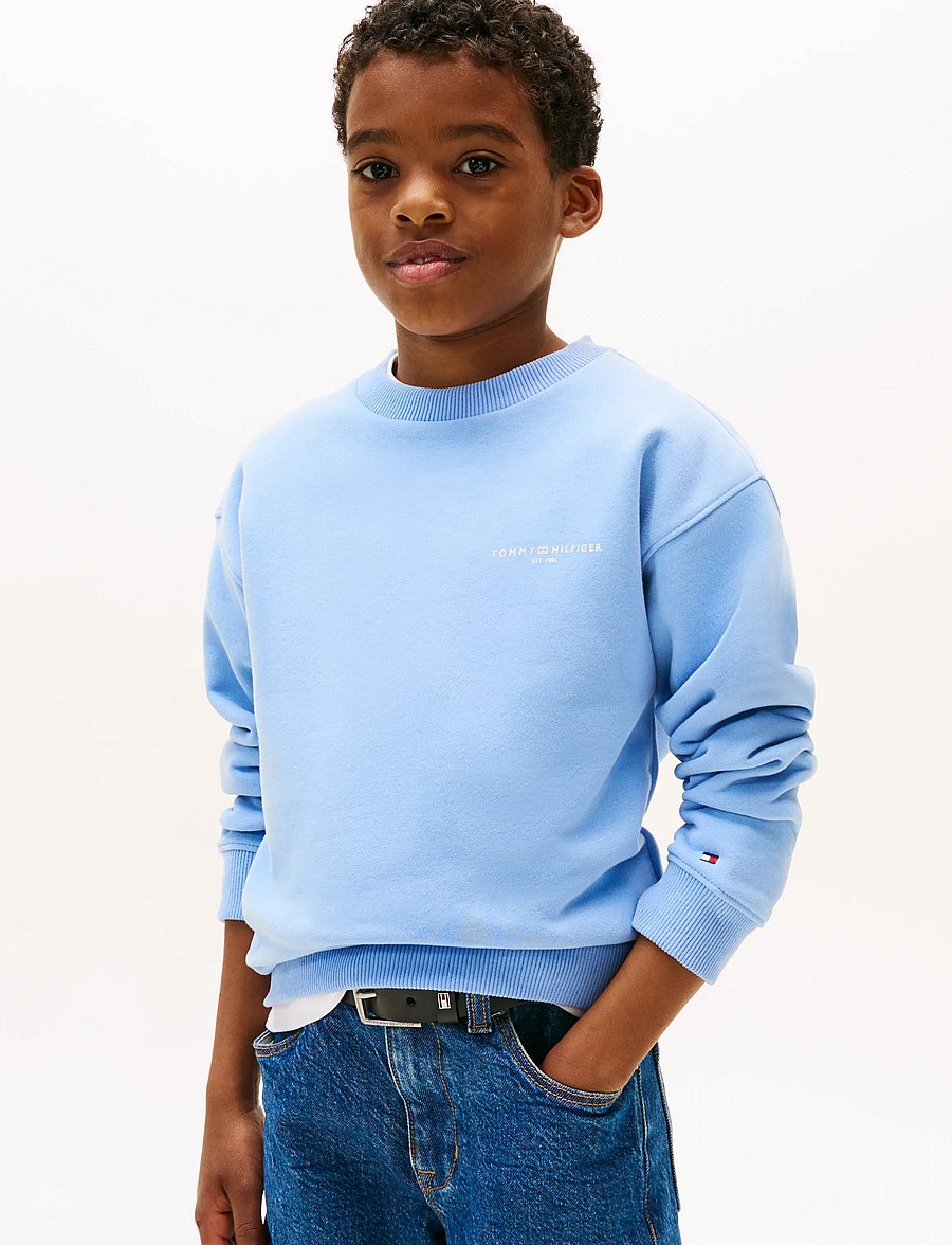 Tommy Hilfiger - MINI CORP C-NECK SWEATSHIRT - dressipluusid - cloudy blue - 3