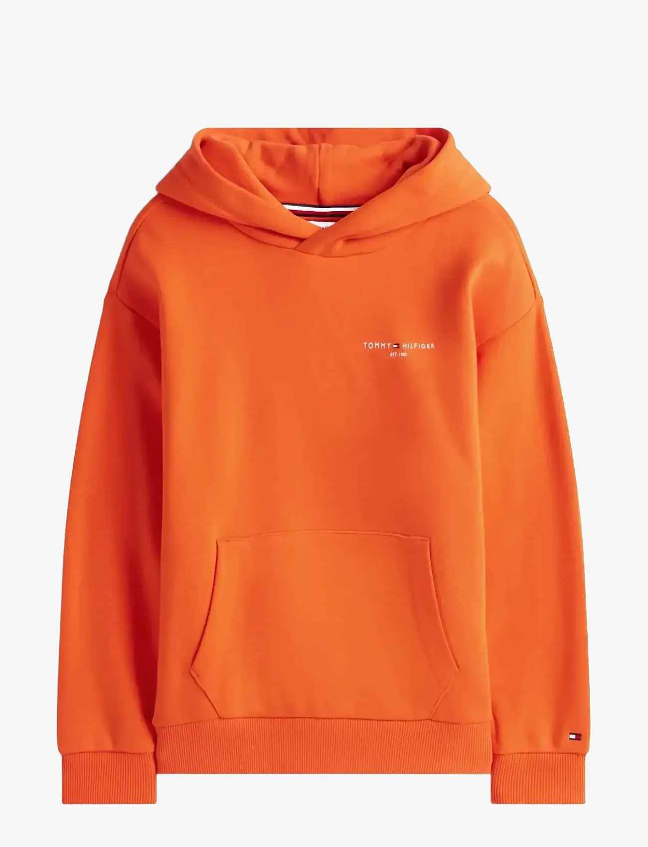 Tommy Hilfiger - MINI CORP HOODIE - hoodies - horizon - 1