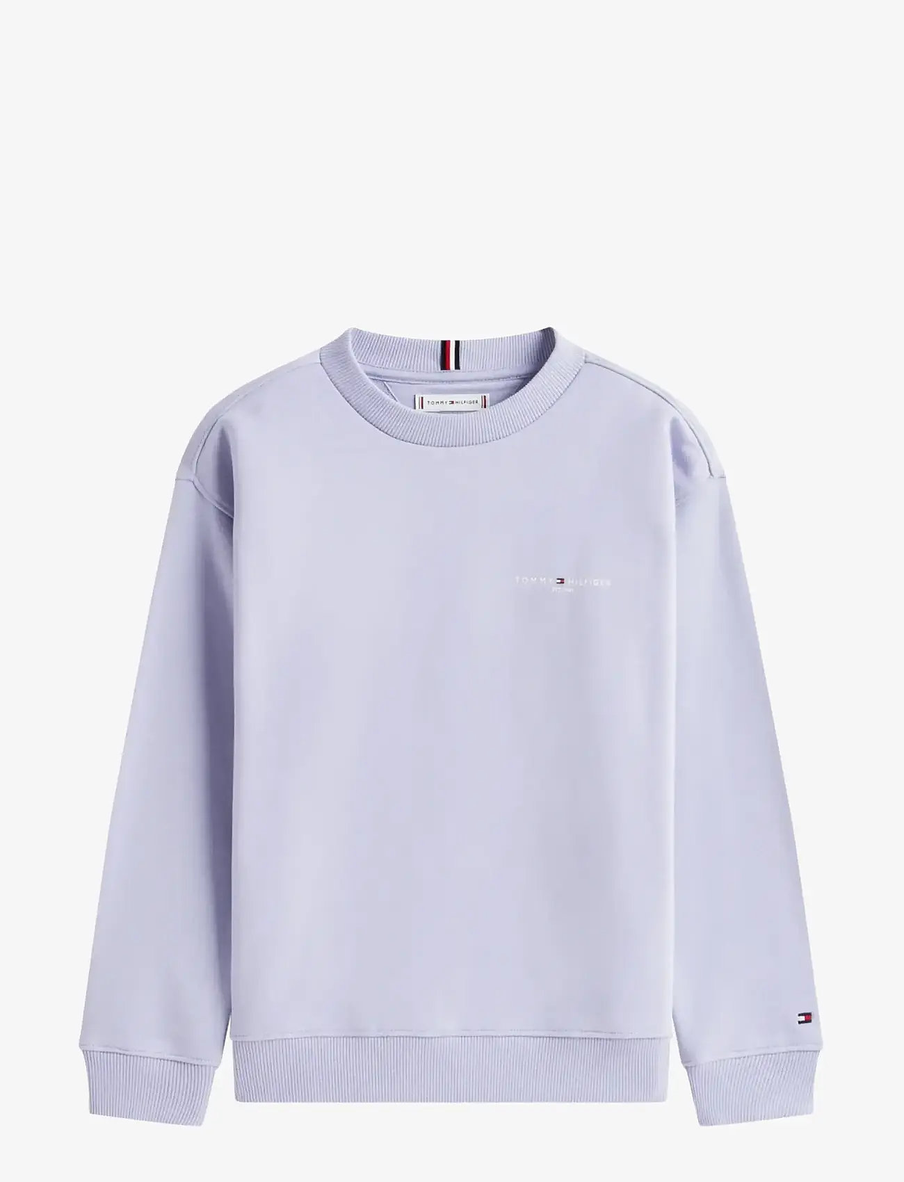 Tommy Hilfiger - MINI CORP C-NECK SWEATSHIRT - sweatshirts - periwinkle dusk - 0