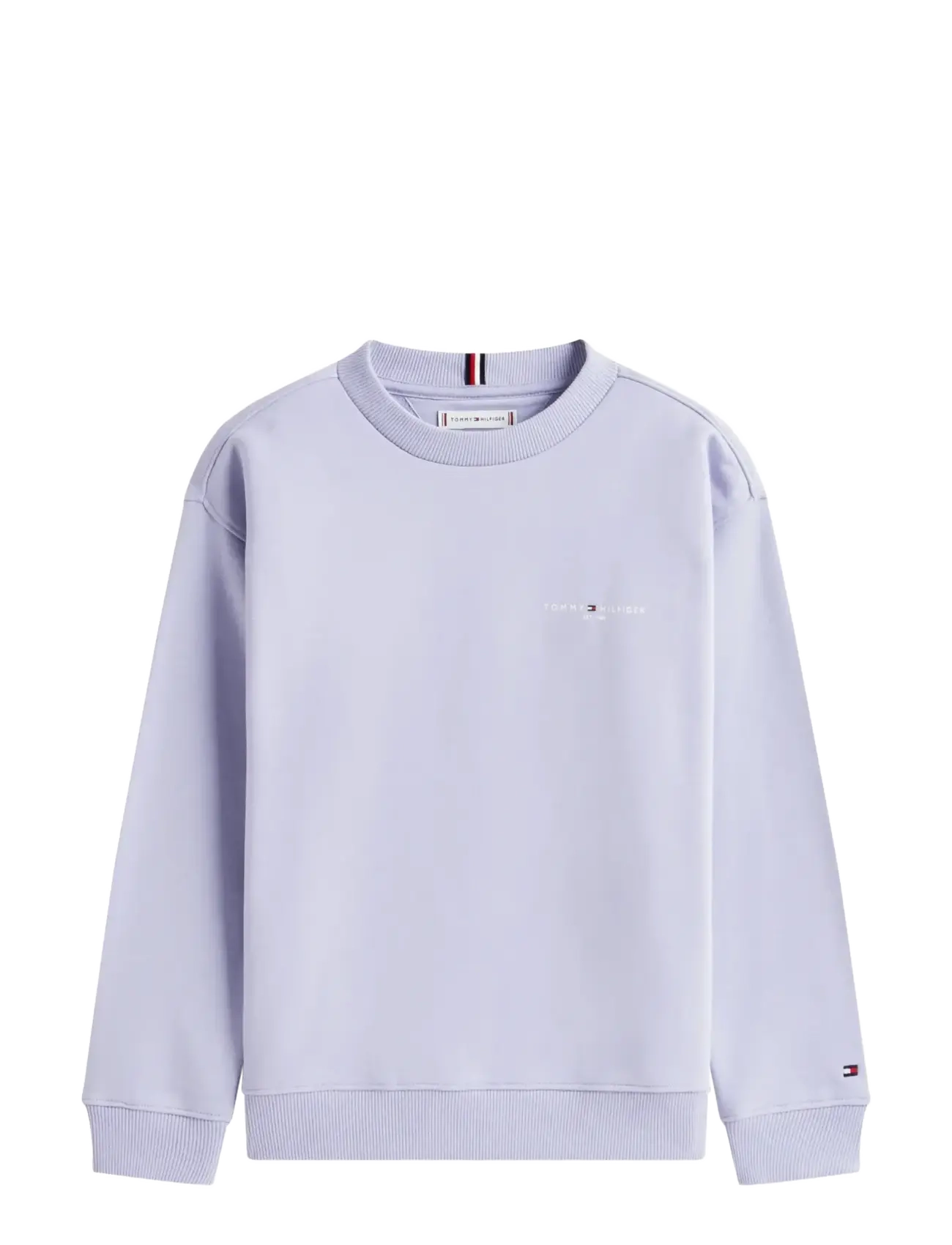 Tommy Hilfiger MINI CORP C-NECK SWEATSHIRT - Sweatshirts & Kapuzenpullover - PERIWINKLE DUSK / purple