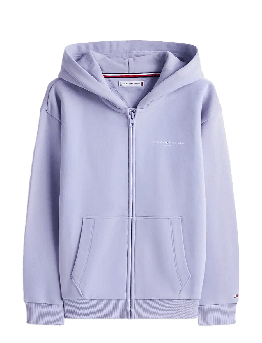 Tommy Hilfiger - MINI CORP ZIP THROUGH HOODIE - kapuzenpullover - periwinkle dusk - 0