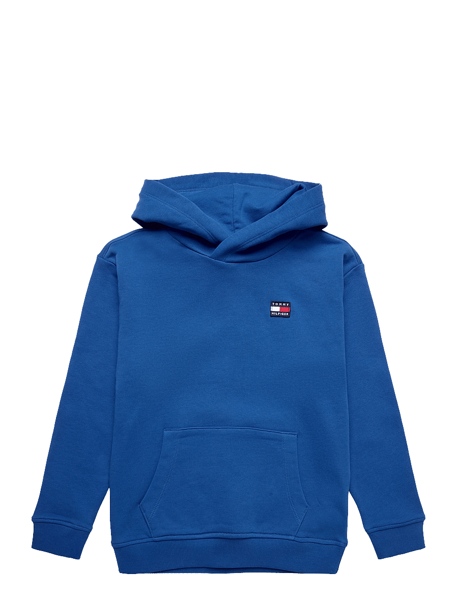 Tommy Hilfiger - FLAG HERITAGE HOODIE - hoodies - vibrant blue - 1