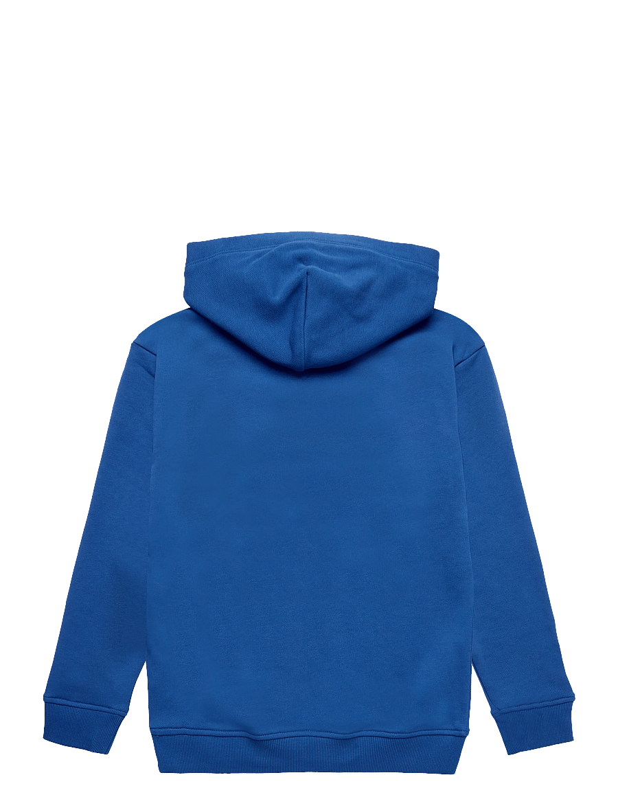 Tommy Hilfiger - FLAG HERITAGE HOODIE - hoodies - vibrant blue - 2
