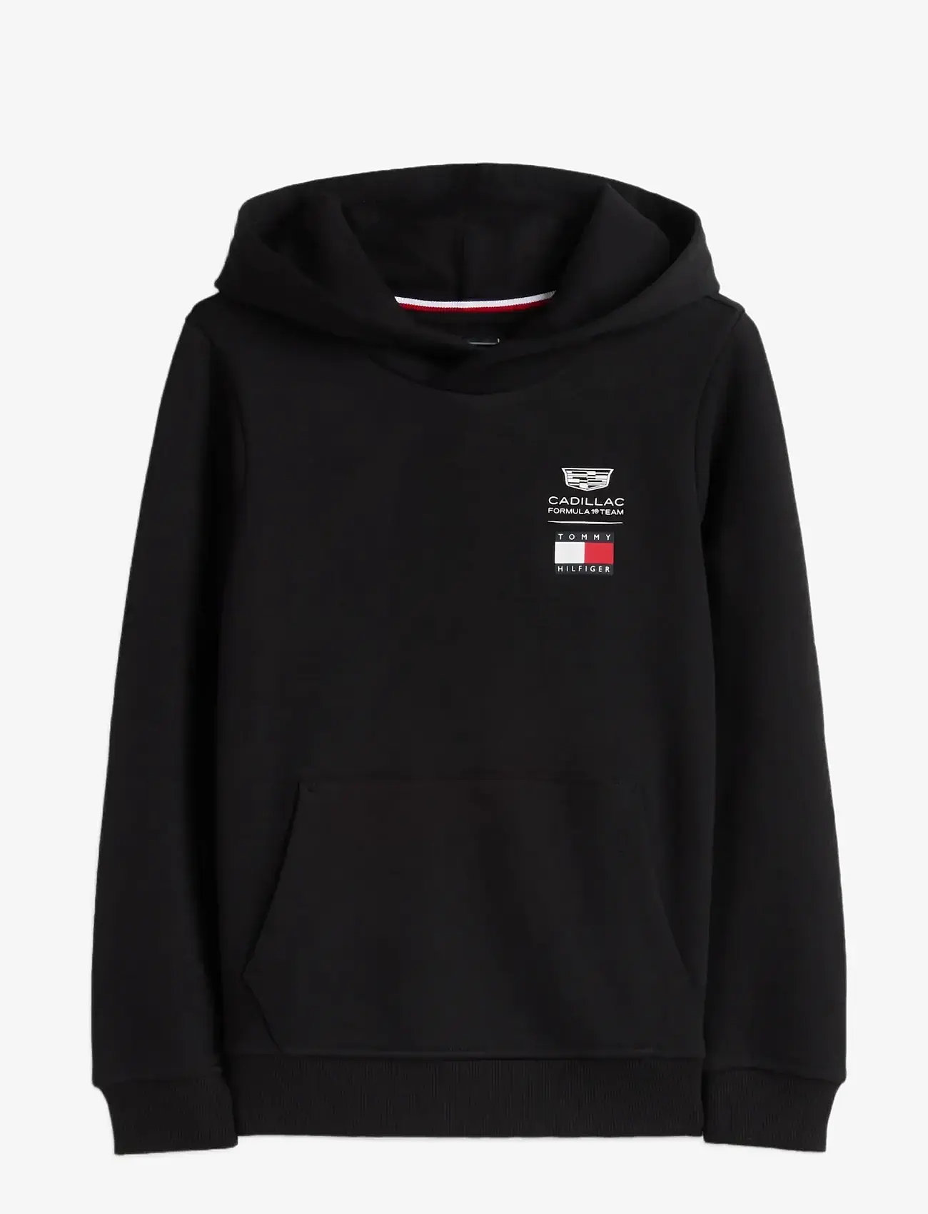 Tommy Hilfiger - TH X CF1 LOGO HOODIE - kapuutsiga dressipluusid - black - 1