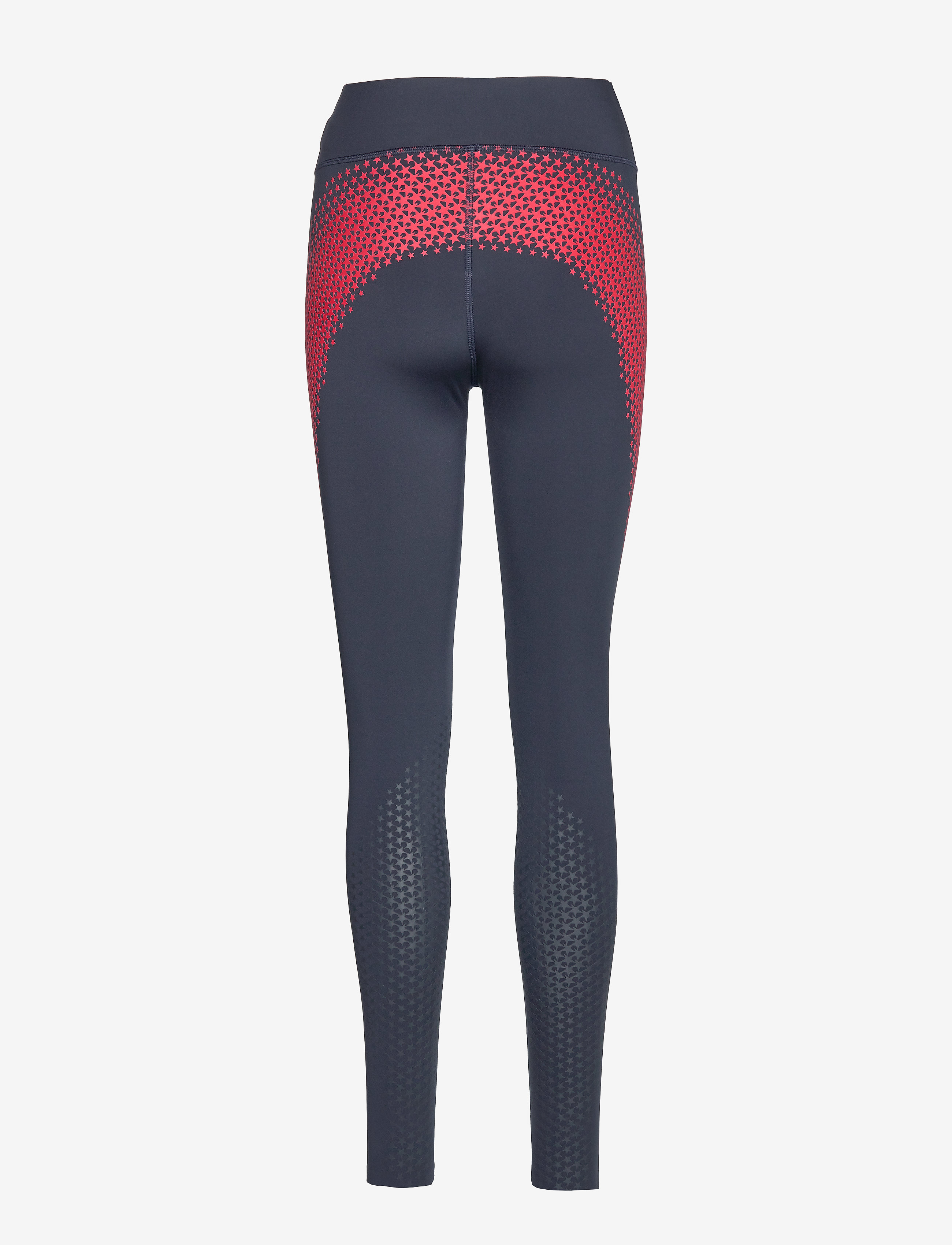 Tommy Sport - EXO TECHNICAL LEGGIN - sky captain - 1