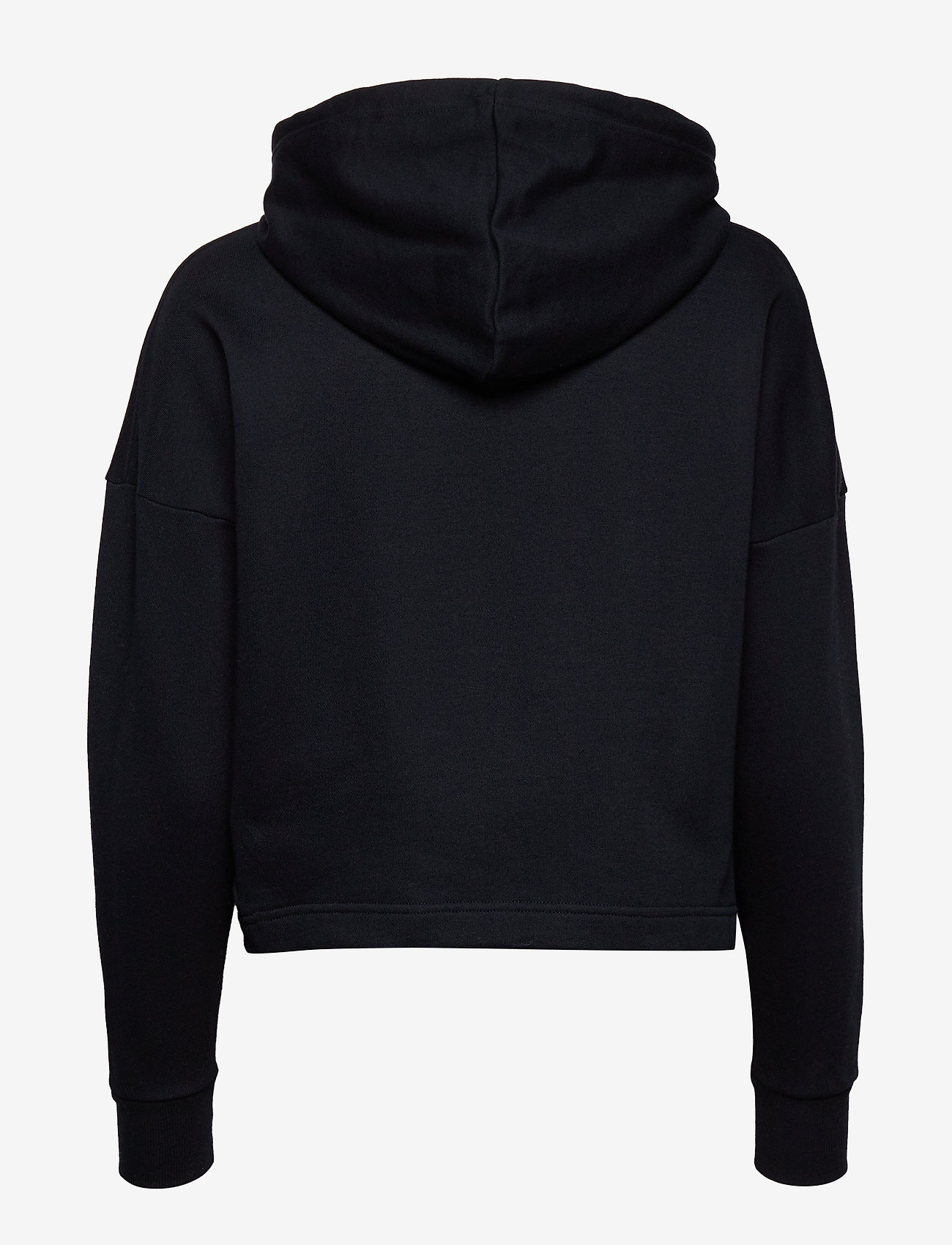 Tommy Sport - CROPPED HOODY - desert sky - 1