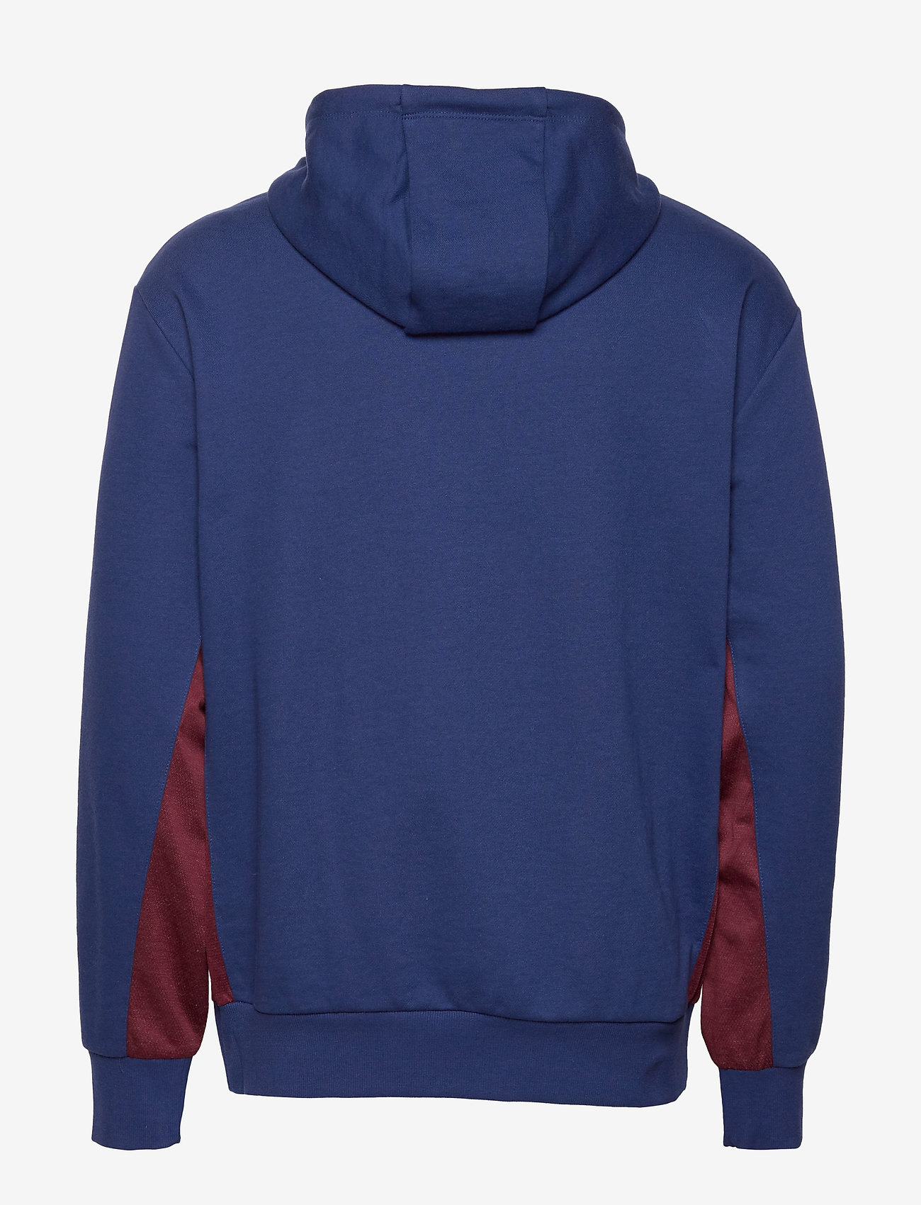 Tommy Sport - FLEECE HOODY - blue ink - 1
