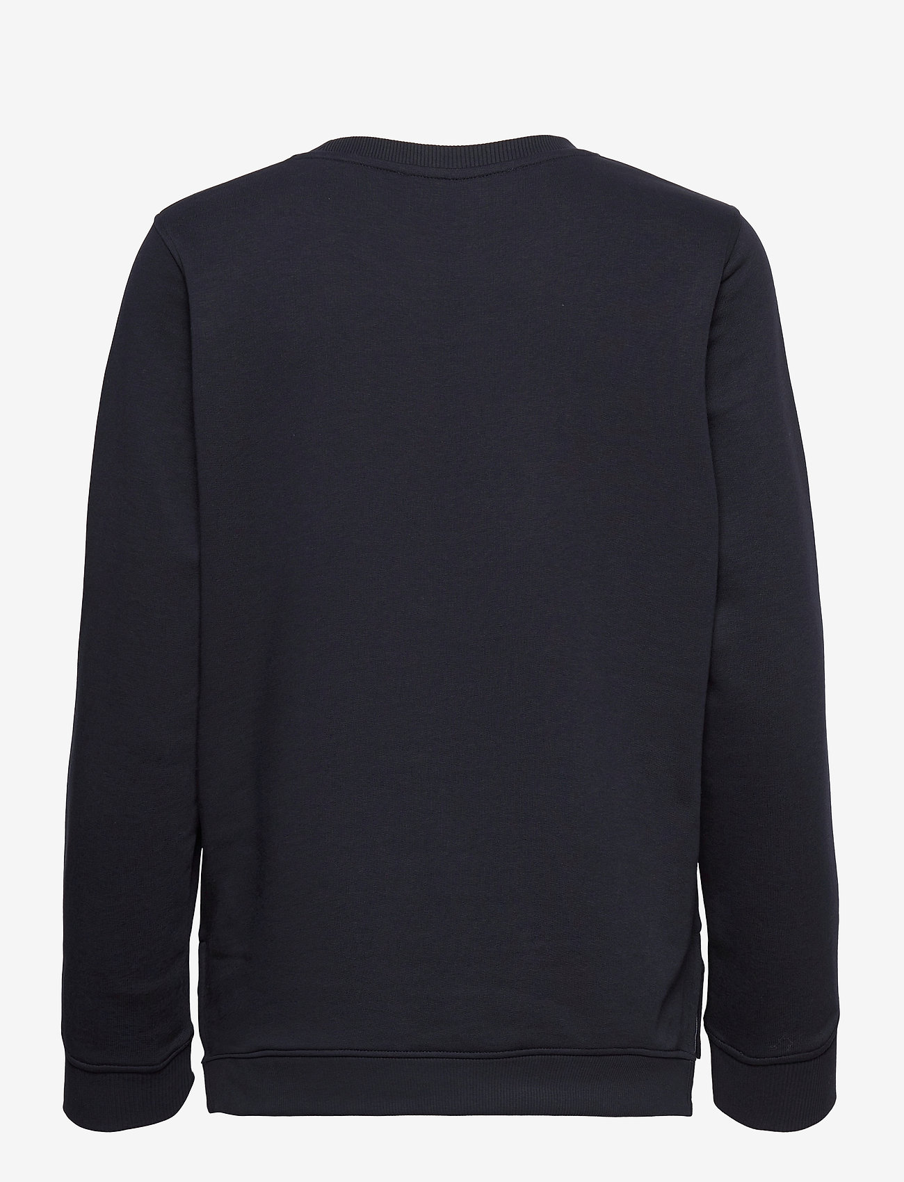 Tommy Sport - REGULAR C-NK SWEATSHIRT LS - desert sky - 1