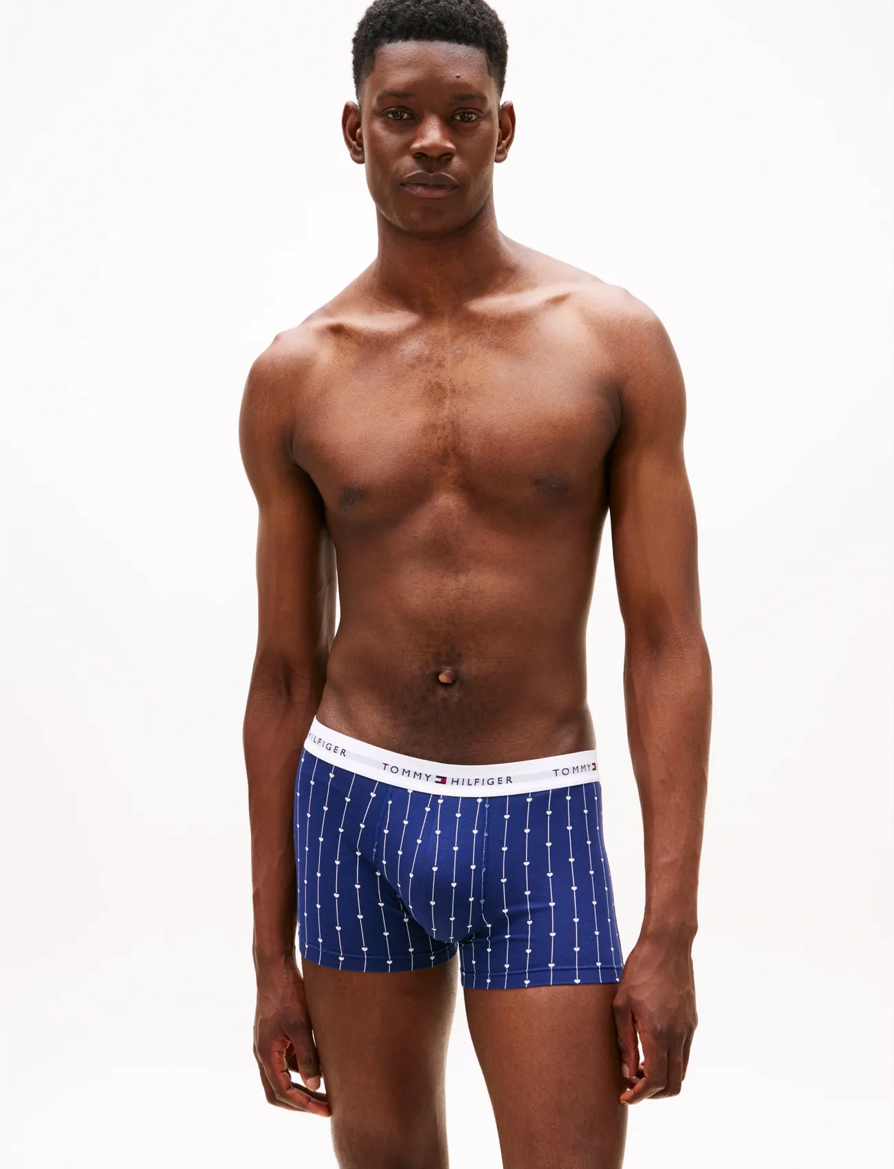 Tommy Hilfiger 3P Trunk Print - Multi/patterned - M