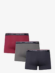 Tommy Hilfiger - 3P TRUNK - lowest prices - ds sky/dark ash/rouge - 1