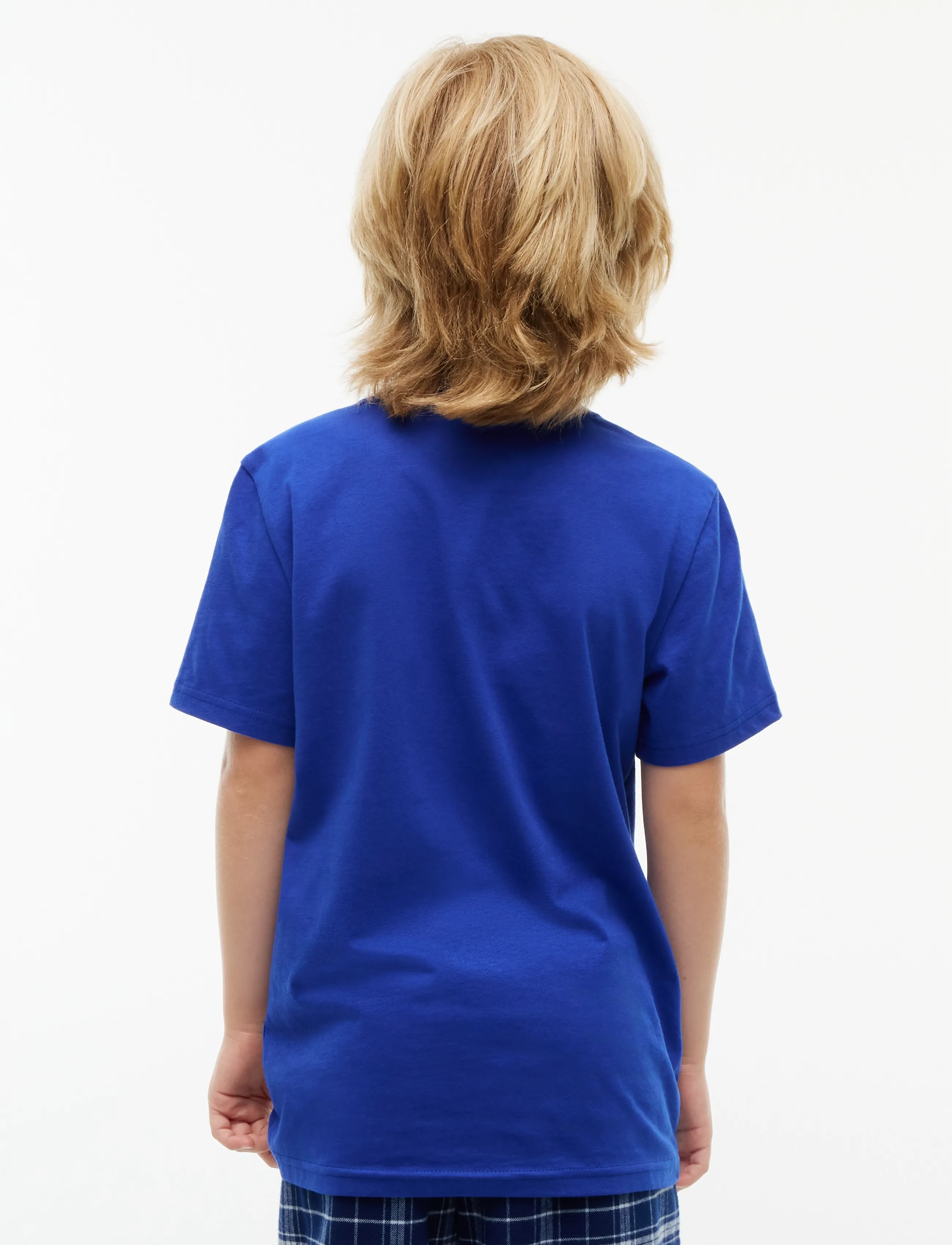 Tommy Hilfiger 2 PK SS TEE - Tommy Hilfiger - NOBLE BLUE   SKY BLUE / blue