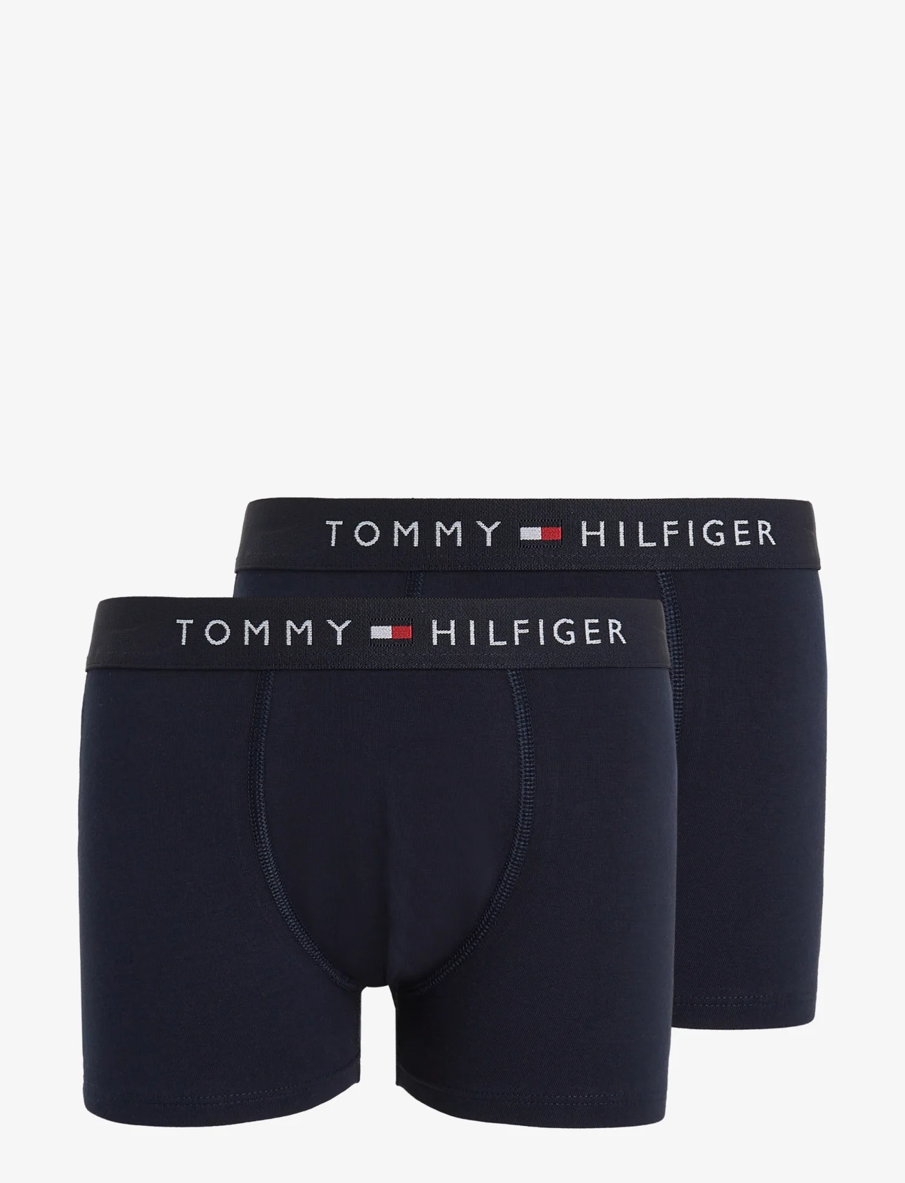Tommy Hilfiger - 2P TRUNK - bottoms - desert sky/desert sky - 0