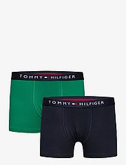 Tommy Hilfiger - 2P TRUNK - unterteile - nouveau green/des sky - 0