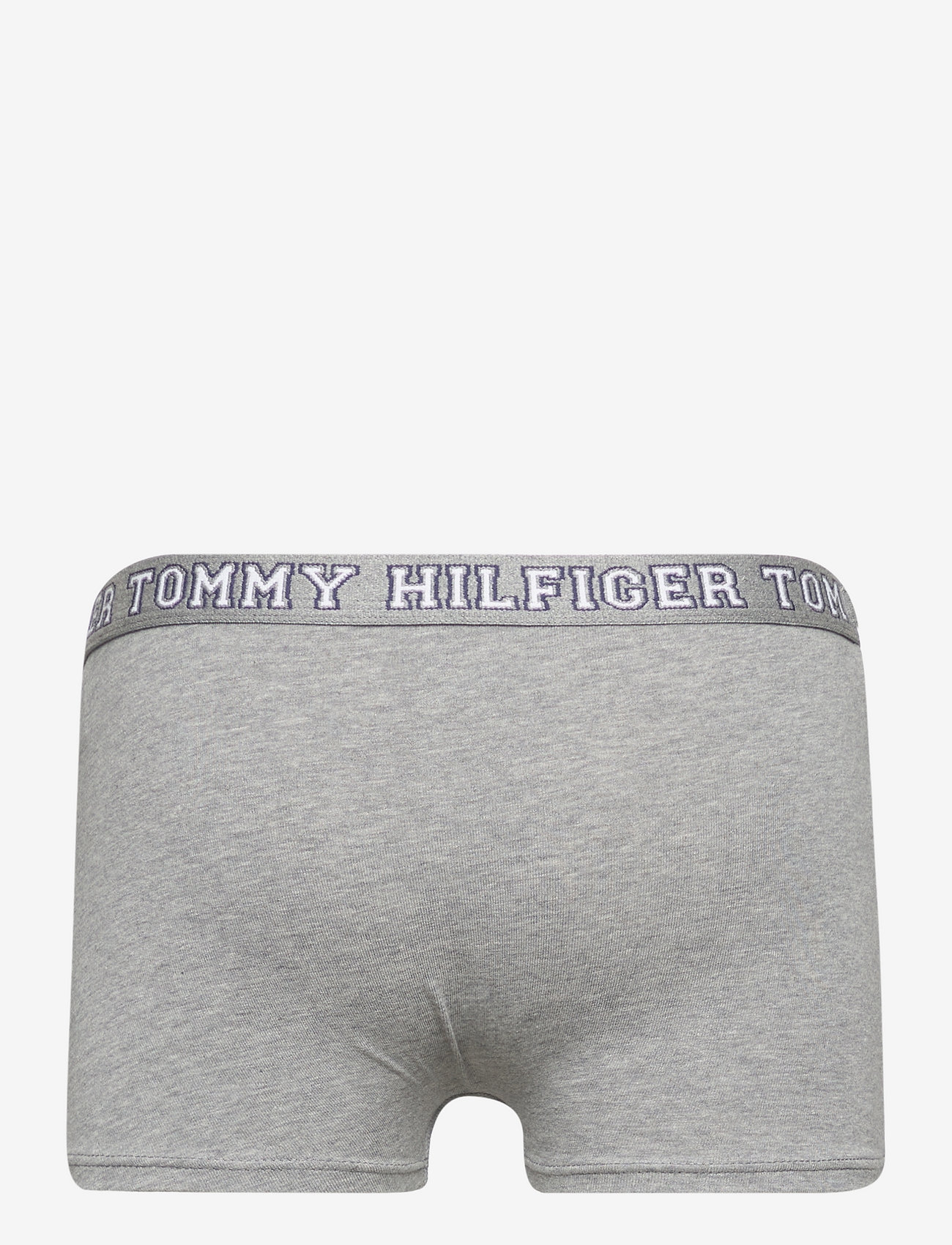 Tommy Hilfiger - 2P TRUNK - yale navy/medium grey ht - 3