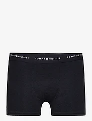 Tommy Hilfiger - 7P TRUNK - underpants - des sky/oly gr/b spell - 2