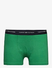 Tommy Hilfiger - 7P TRUNK - underpants - des sky/oly gr/b spell - 6