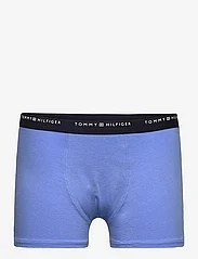 Tommy Hilfiger - 7P TRUNK - underpants - des sky/oly gr/b spell - 10